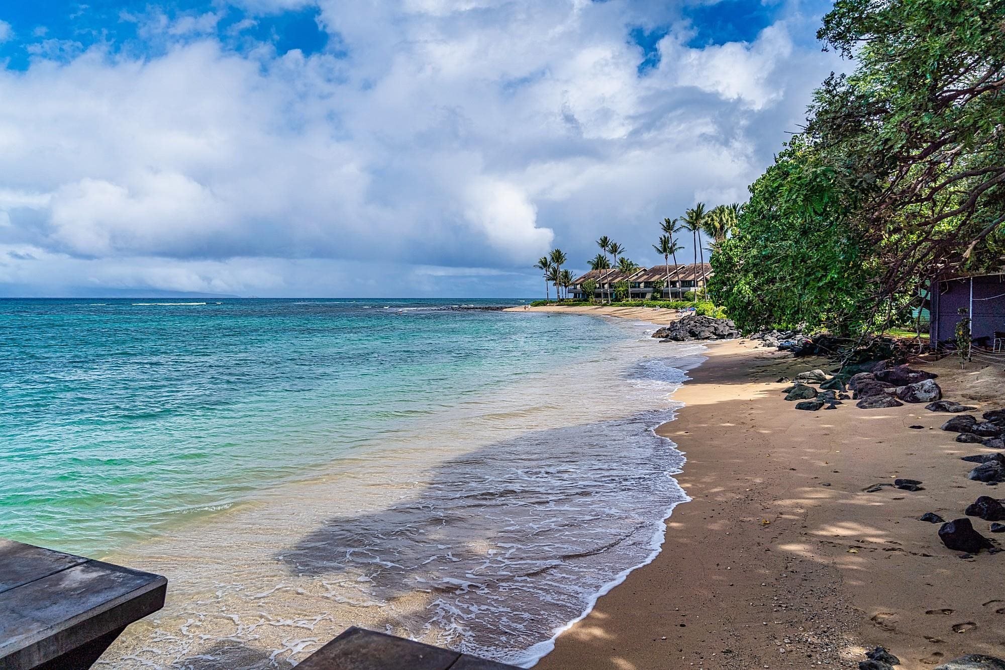 Kahana Reef condo # 322, Lahaina, Hawaii - photo 21 of 30