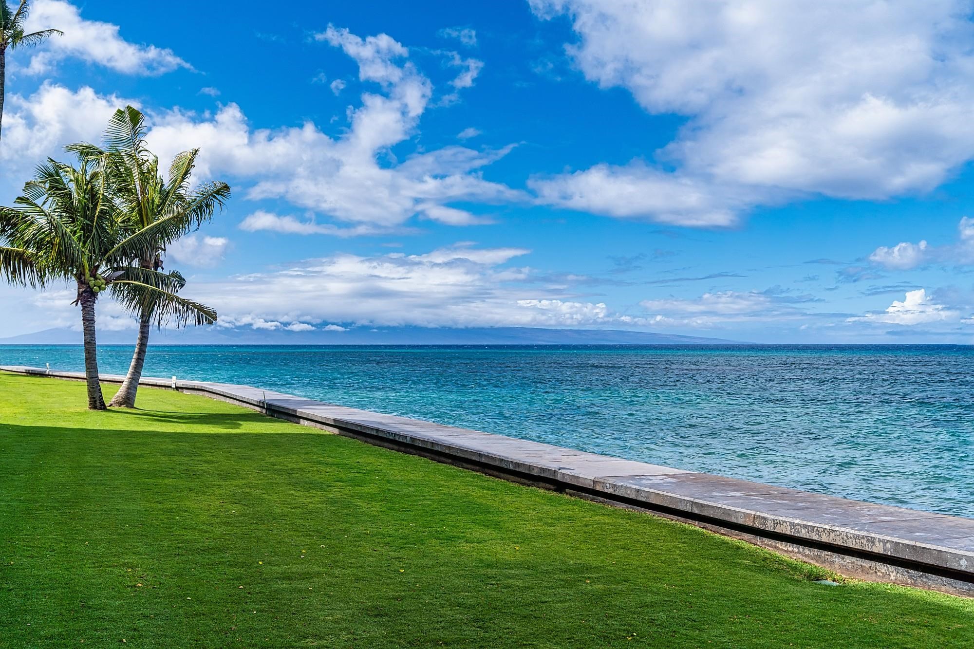 Kahana Reef condo # 322, Lahaina, Hawaii - photo 23 of 30