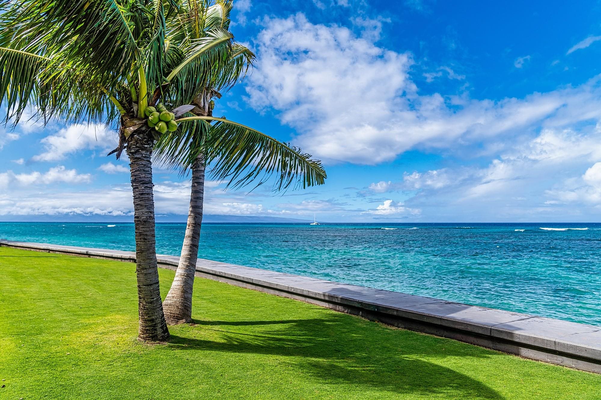 Kahana Reef condo # 322, Lahaina, Hawaii - photo 25 of 30