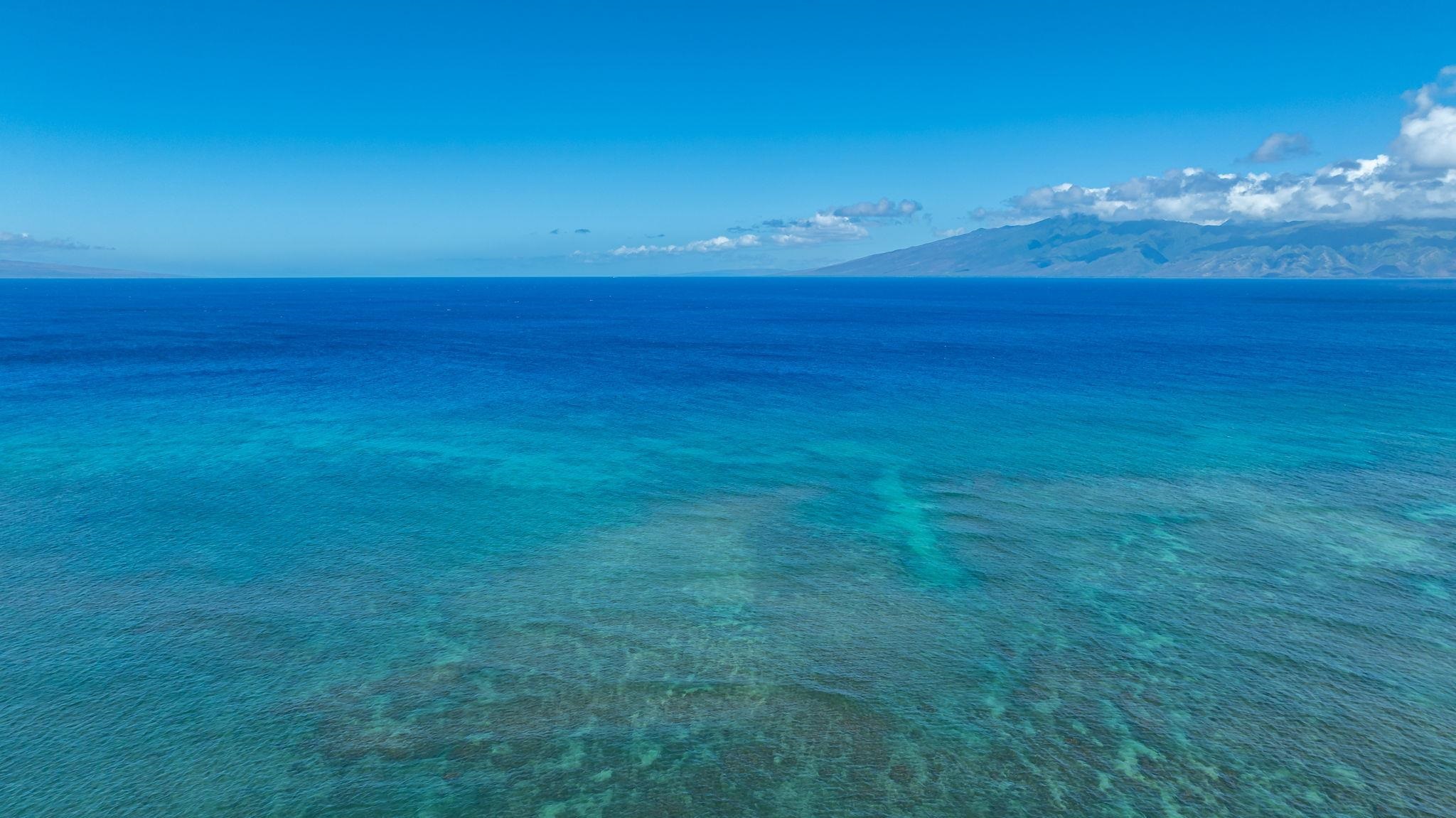 Kahana Reef condo # 410, Lahaina, Hawaii - photo 34 of 34