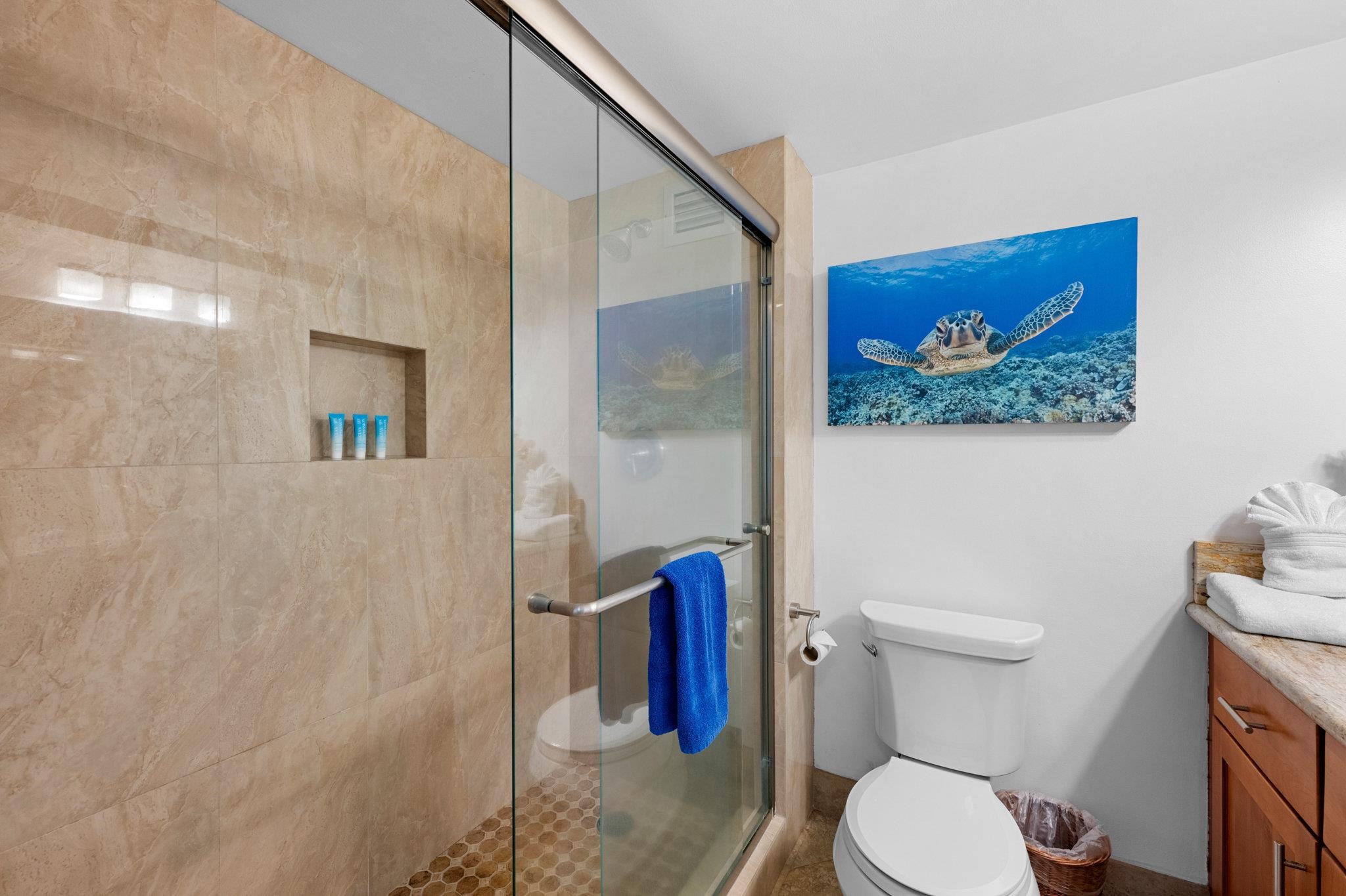 Kahana Reef condo # 415, Lahaina, Hawaii - photo 33 of 44