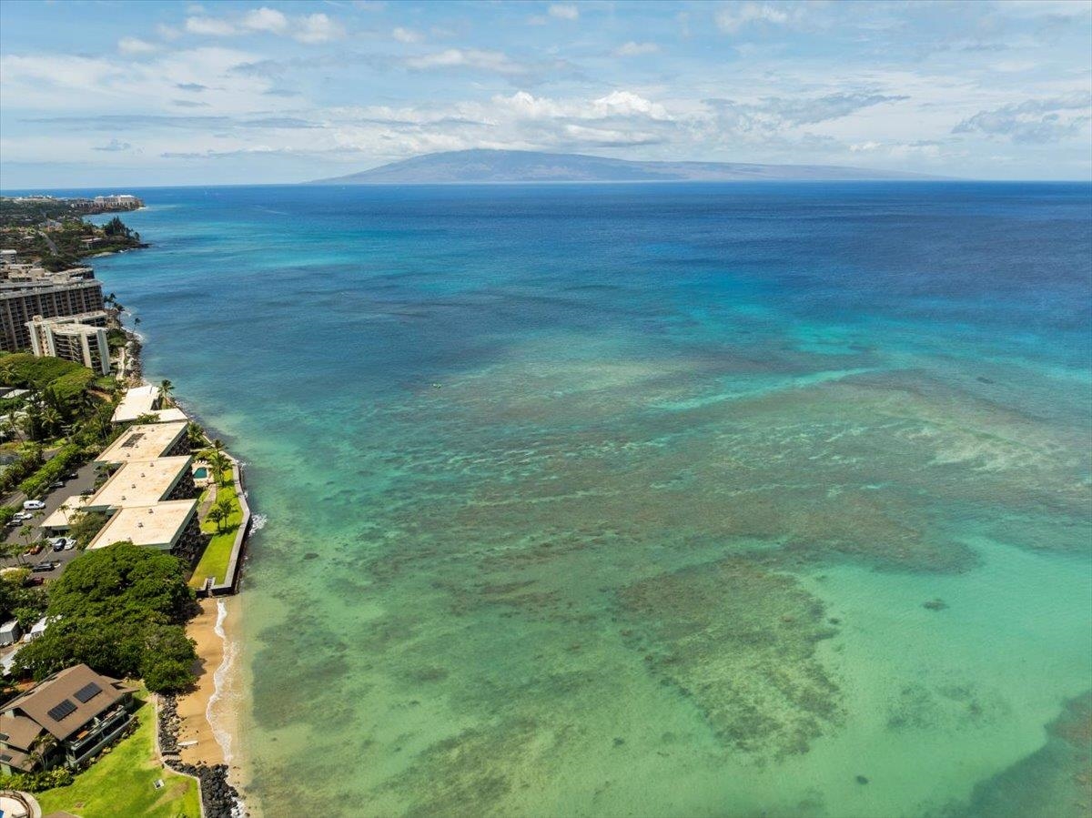 Kahana Reef condo # 419, Lahaina, Hawaii - photo 36 of 41