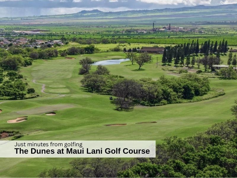 45  Hoku Puhipaka St Na Hoku At Maui Lani, Kahului home - photo 26 of 29