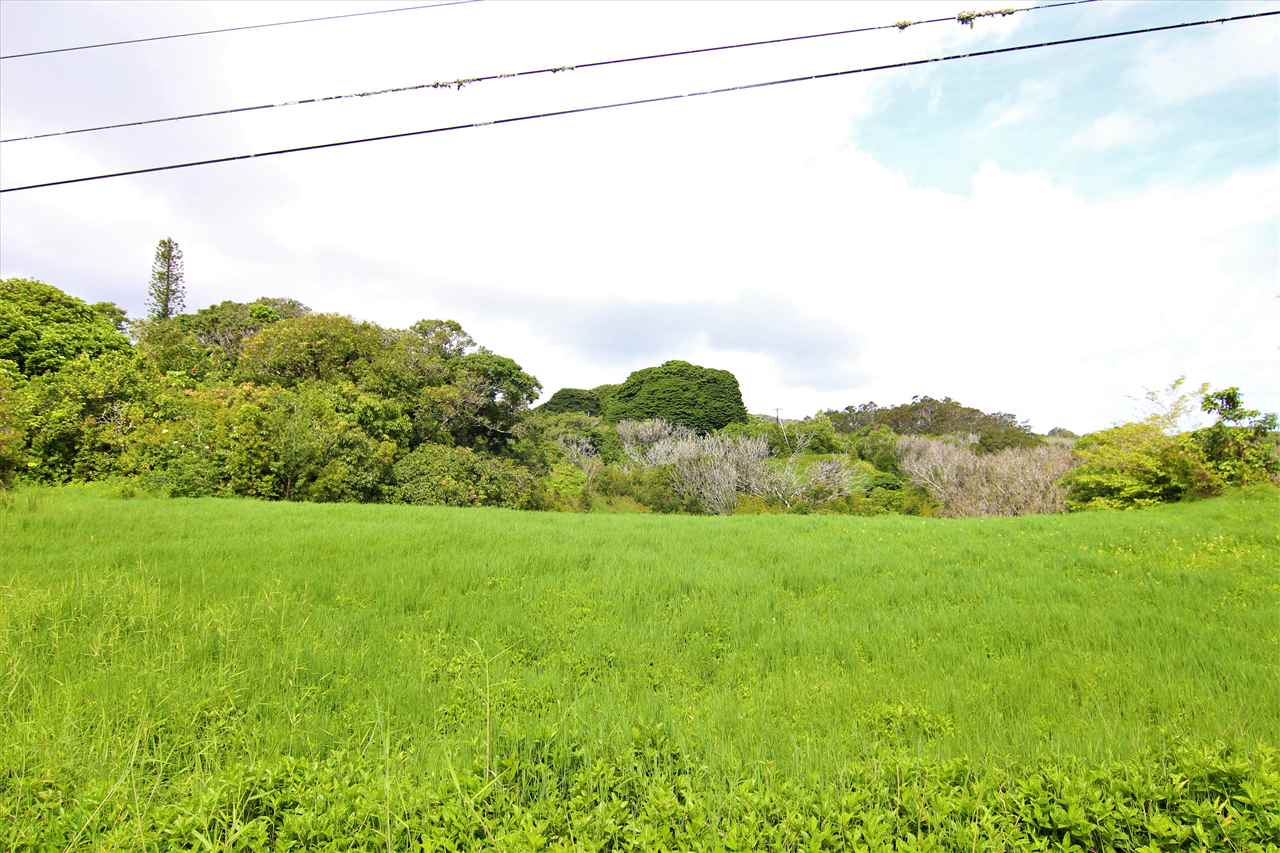 45 Honokaupu Pl  Haiku, Hi vacant land for sale - photo 4 of 8