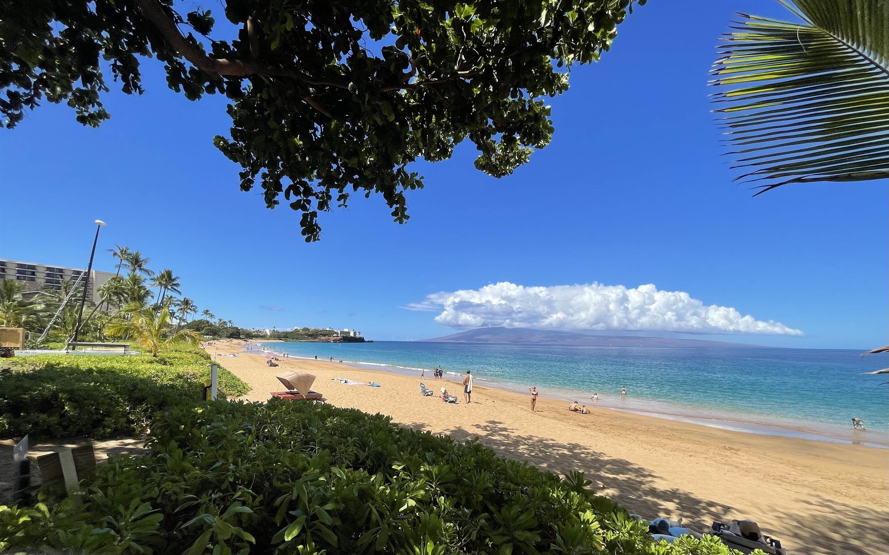 Maui Kaanapali Villas condo # A509, Lahaina, Hawaii - photo 8 of 30