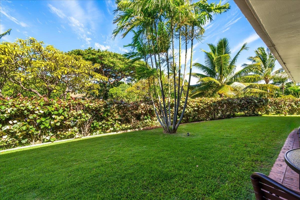 Maui Kaanapali Villas condo # B128, Lahaina, Hawaii - photo 11 of 41