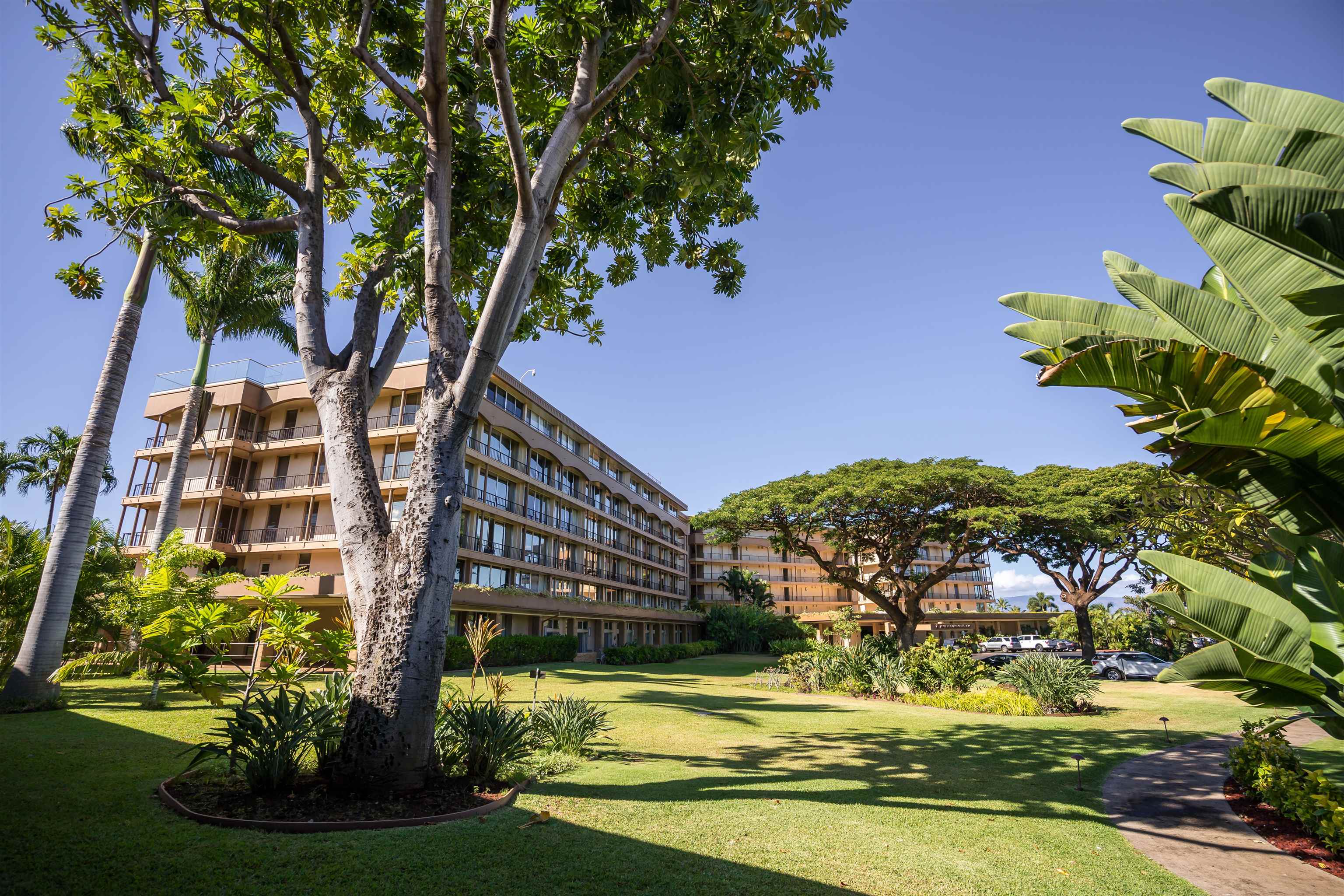 Maui Kaanapali Villas condo # B144, Lahaina, Hawaii - photo 17 of 29