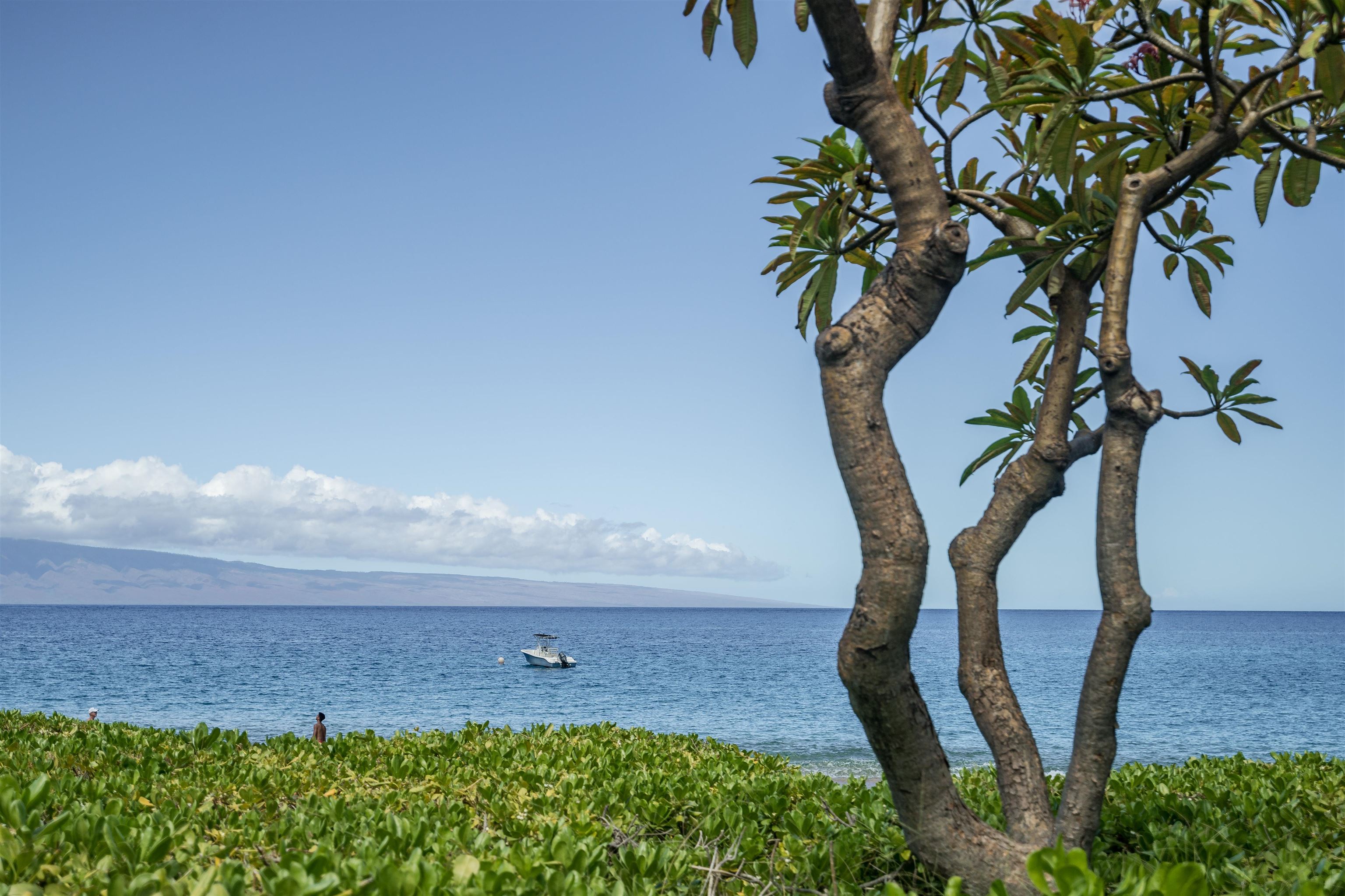 Maui Kaanapali Villas condo # B144, Lahaina, Hawaii - photo 26 of 29