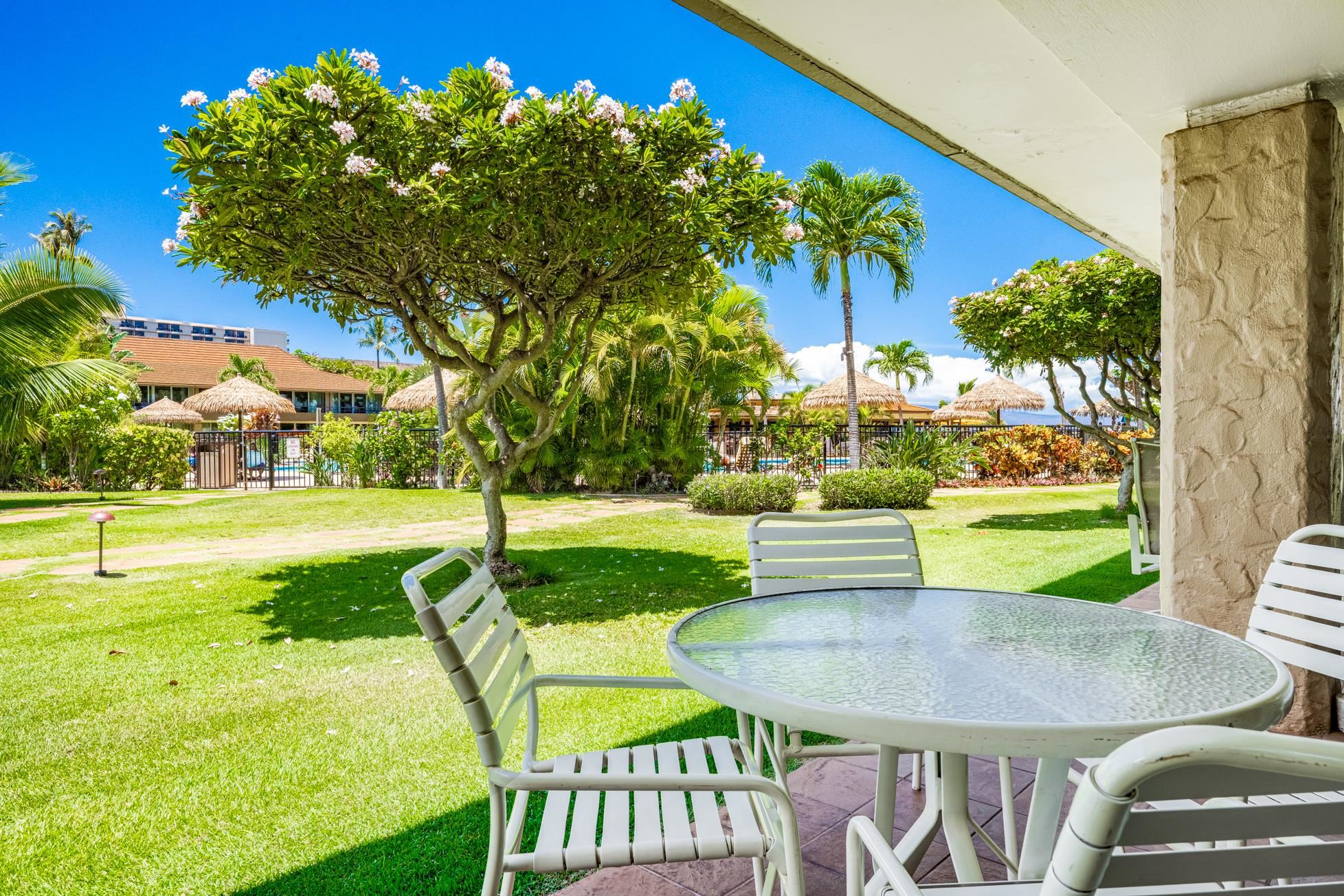 Maui Kaanapali Villas condo # D110, Lahaina, Hawaii - photo 24 of 44