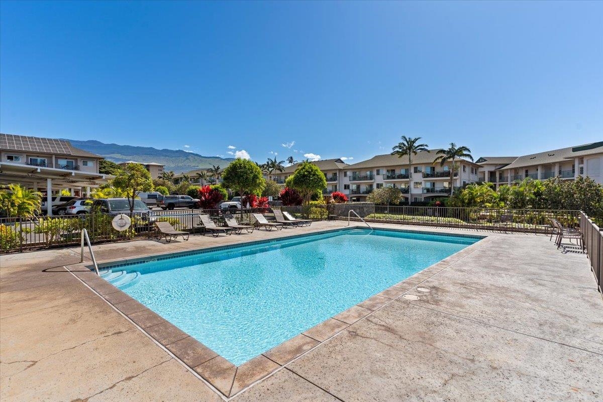 Kalama Kai condo # 204, Kihei, Hawaii - photo 36 of 50