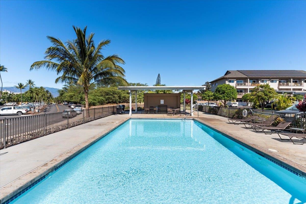 Kalama Kai condo # 204, Kihei, Hawaii - photo 50 of 50