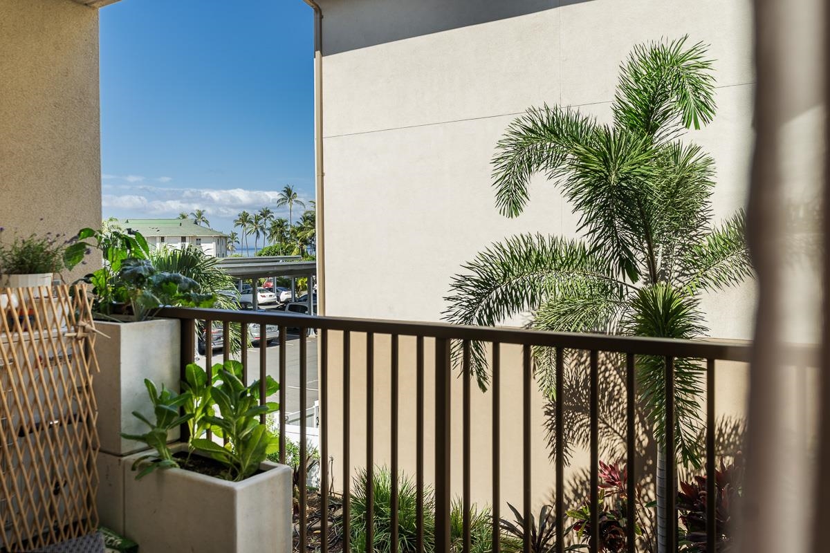 Kalama Kai condo # 209, Kihei, Hawaii - photo 31 of 39