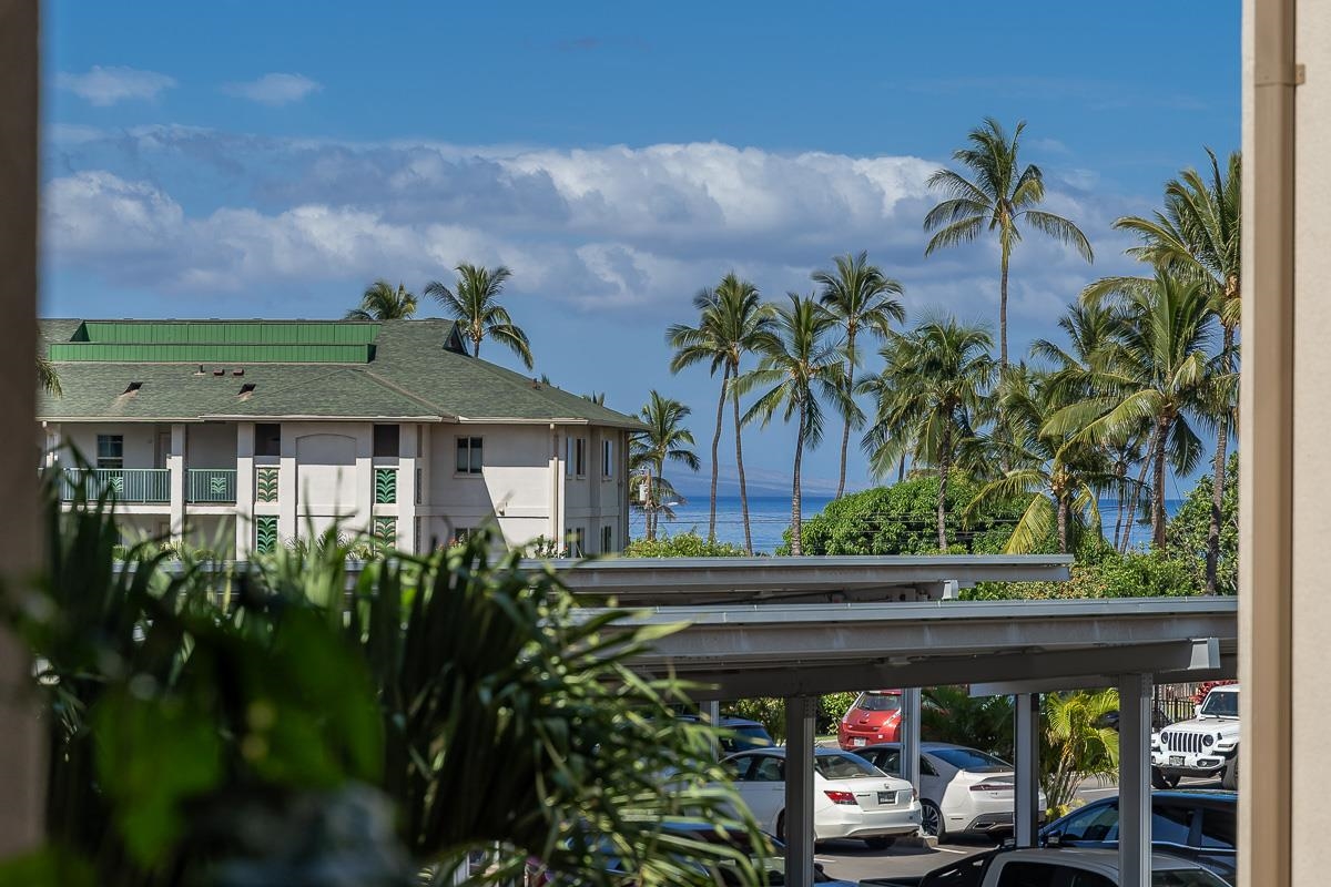 Kalama Kai condo # 209, Kihei, Hawaii - photo 32 of 39