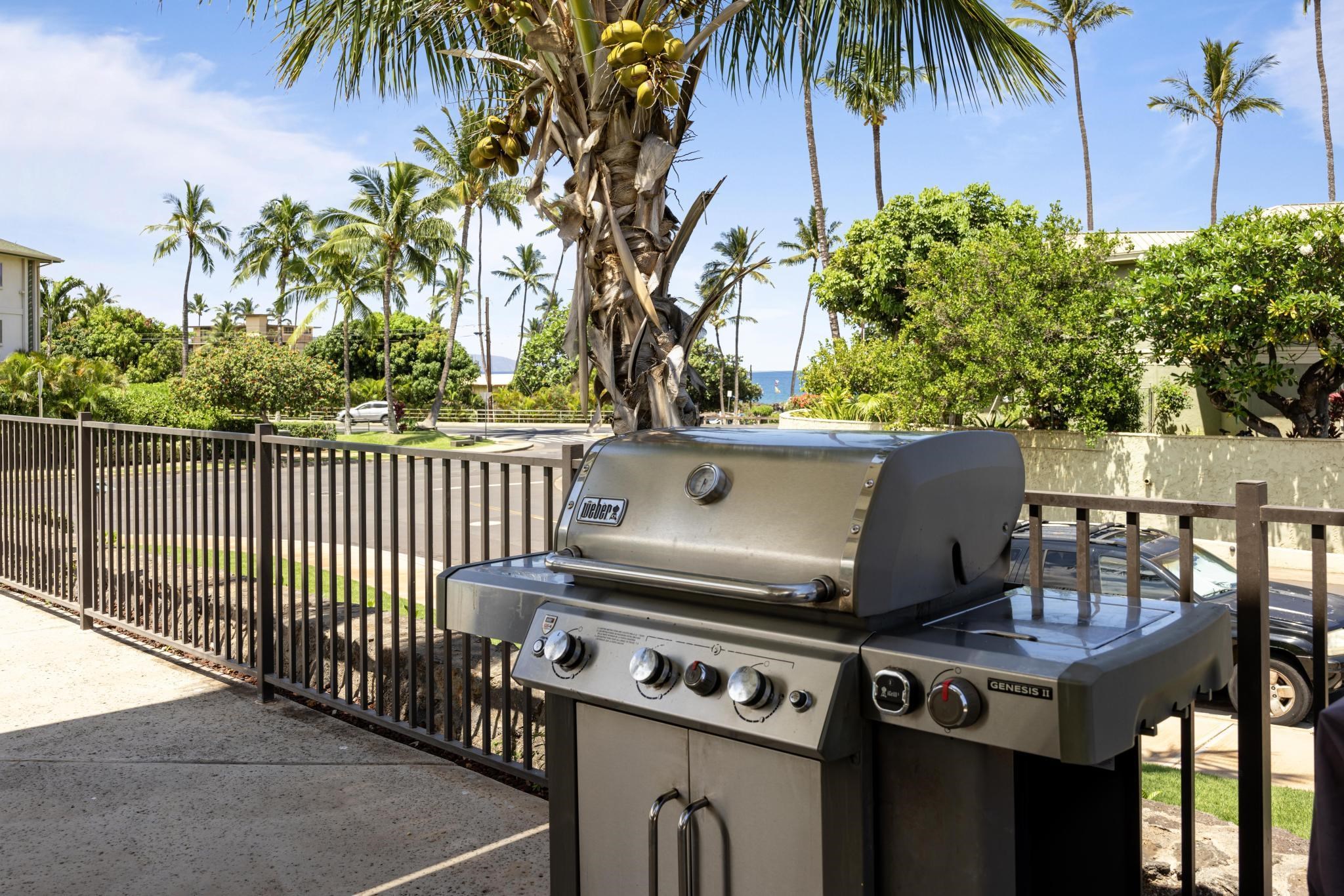 Kalama Kai condo # 310, Kihei, Hawaii - photo 27 of 32