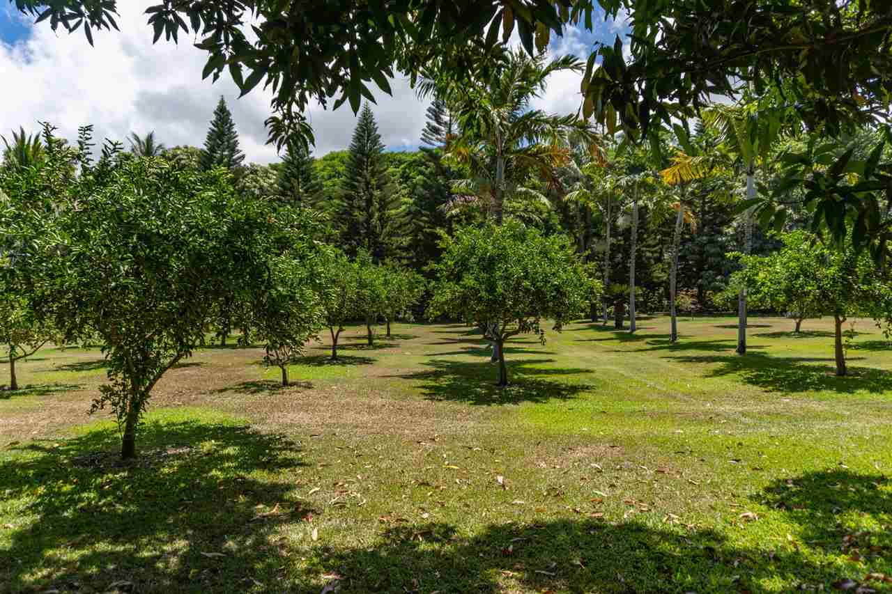 45 Kuahulu Pl  Lahaina, Hi vacant land for sale - photo 10 of 25