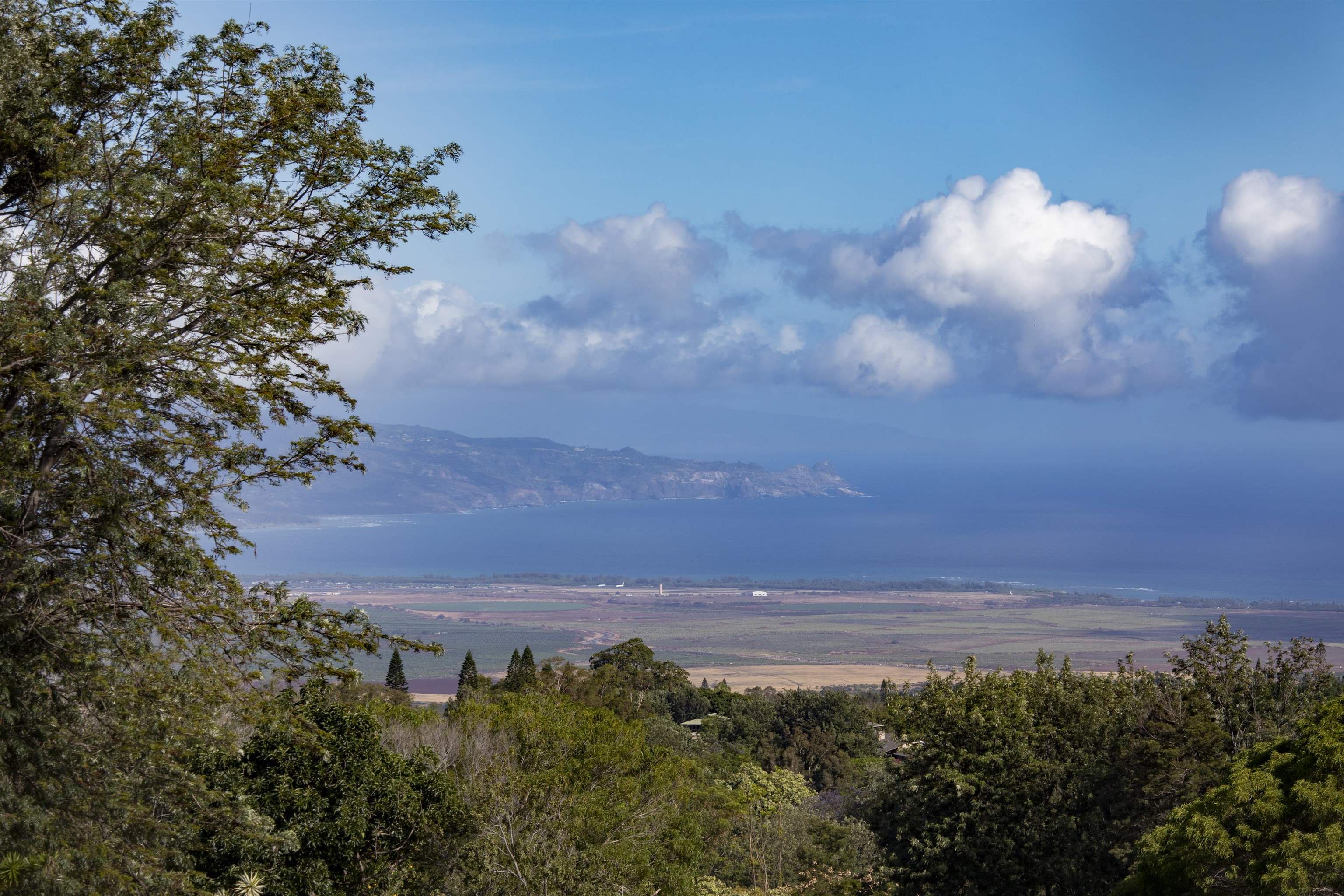 450  Hoopalua Dr Kula 200, Pukalani home - photo 39 of 43