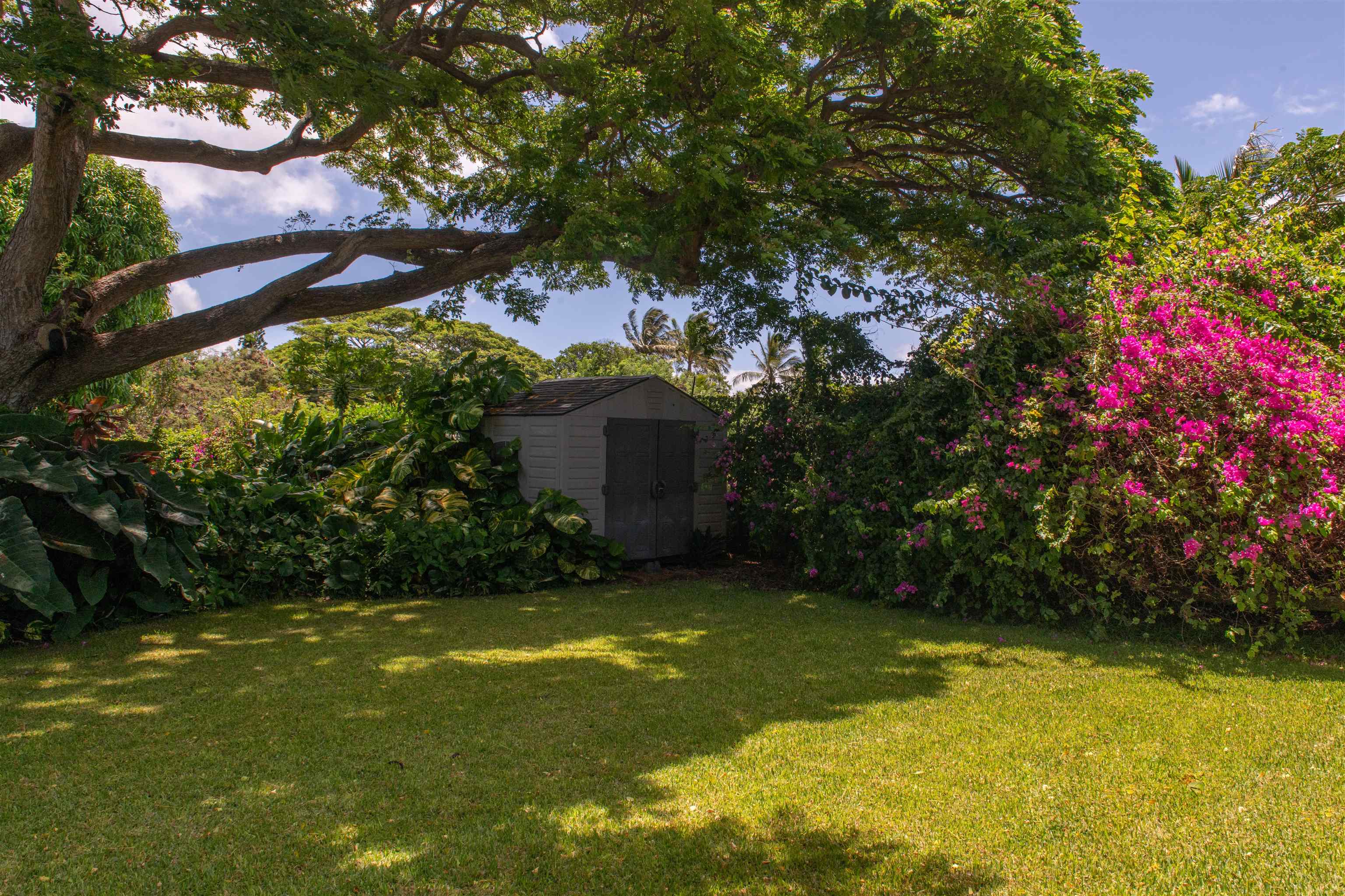 450  Laulea Pl Spreckelsville, Spreckelsville/Paia/Kuau home - photo 31 of 48