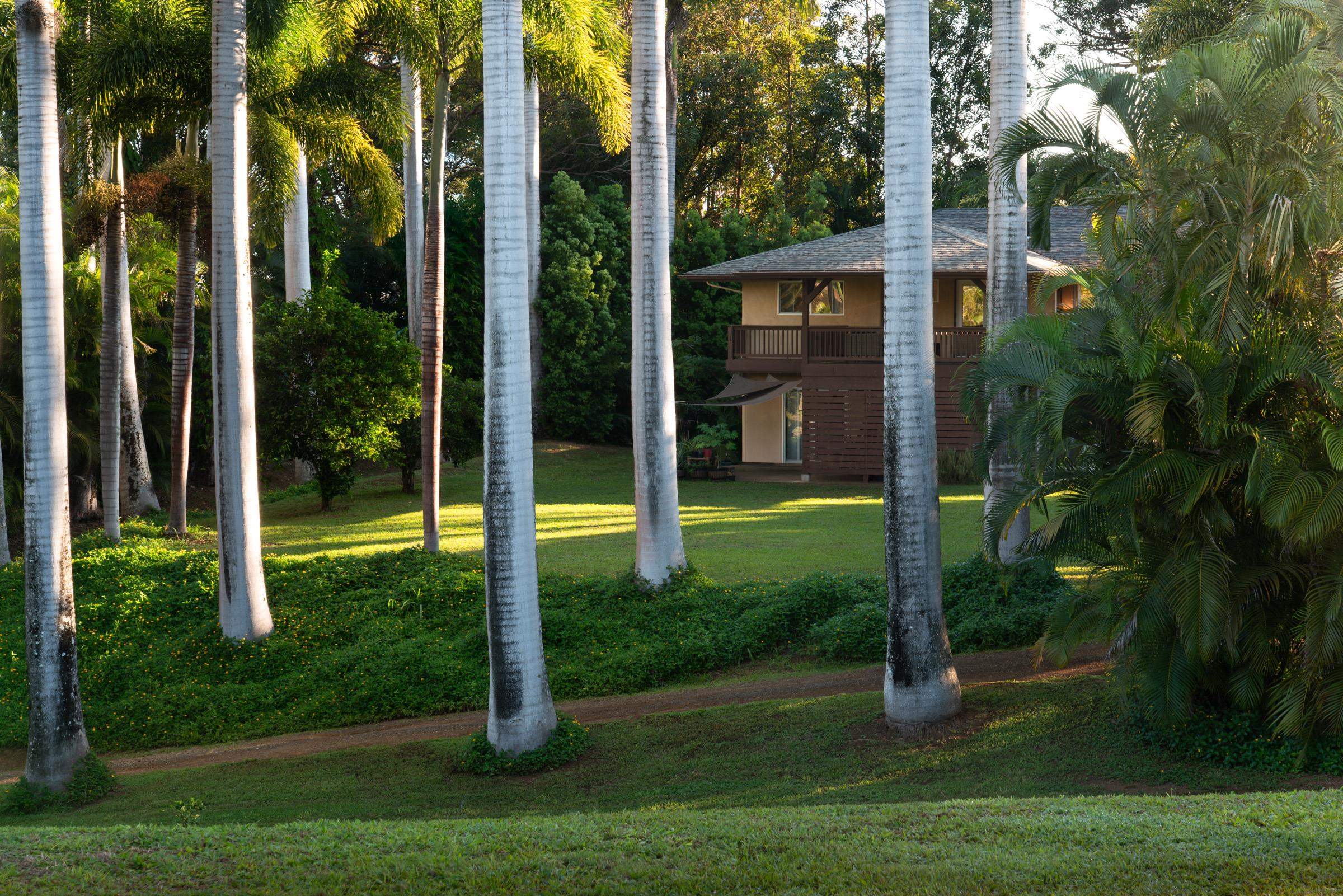 4509  Opana Pl Ulumalu, Haiku home - photo 2 of 31