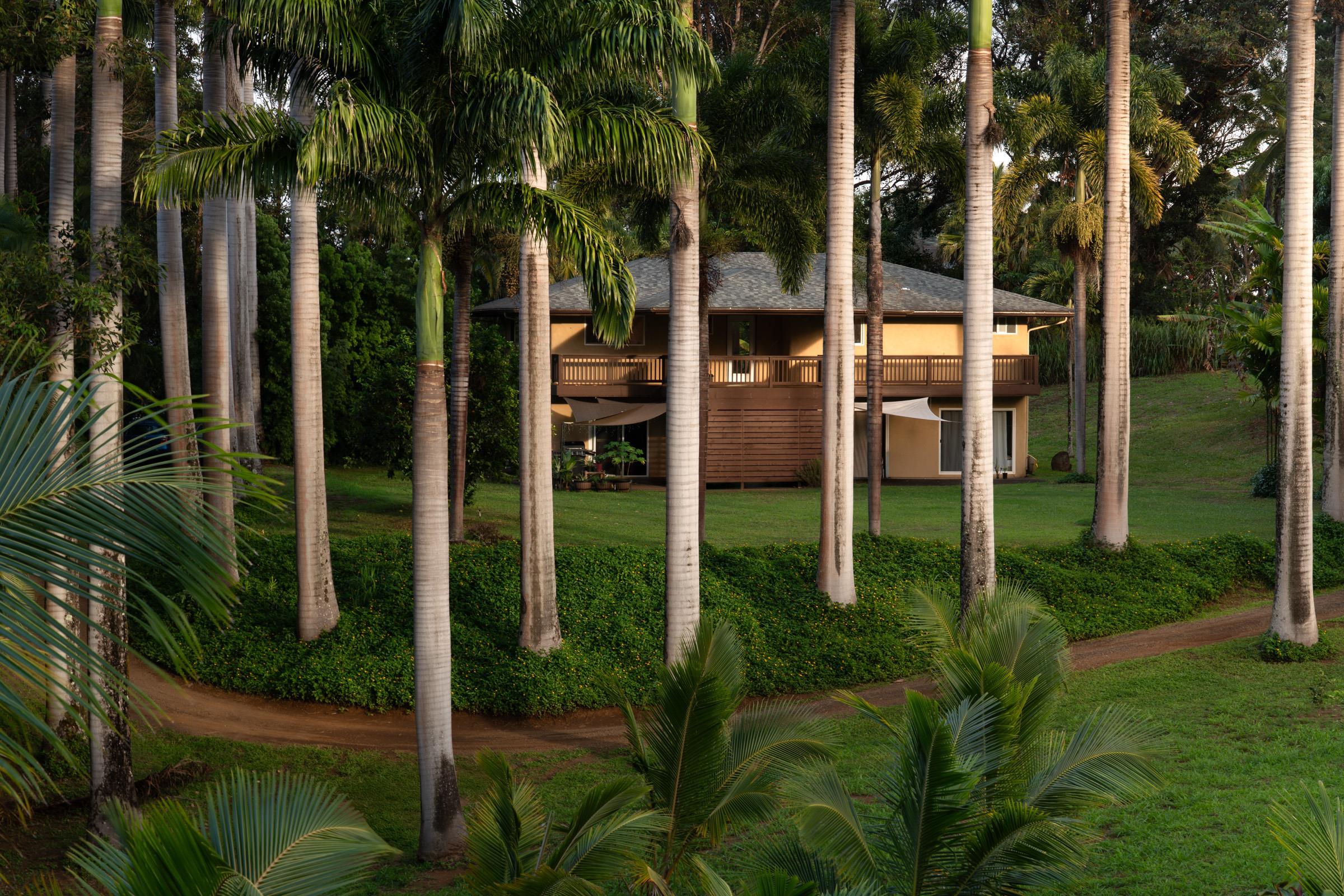 4509  Opana Pl Ulumalu, Haiku home - photo 2 of 31