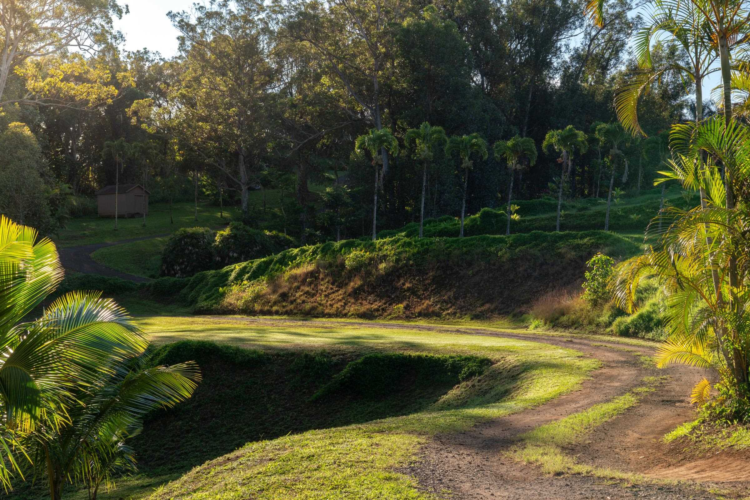 4509  Opana Pl Ulumalu, Haiku home - photo 3 of 31