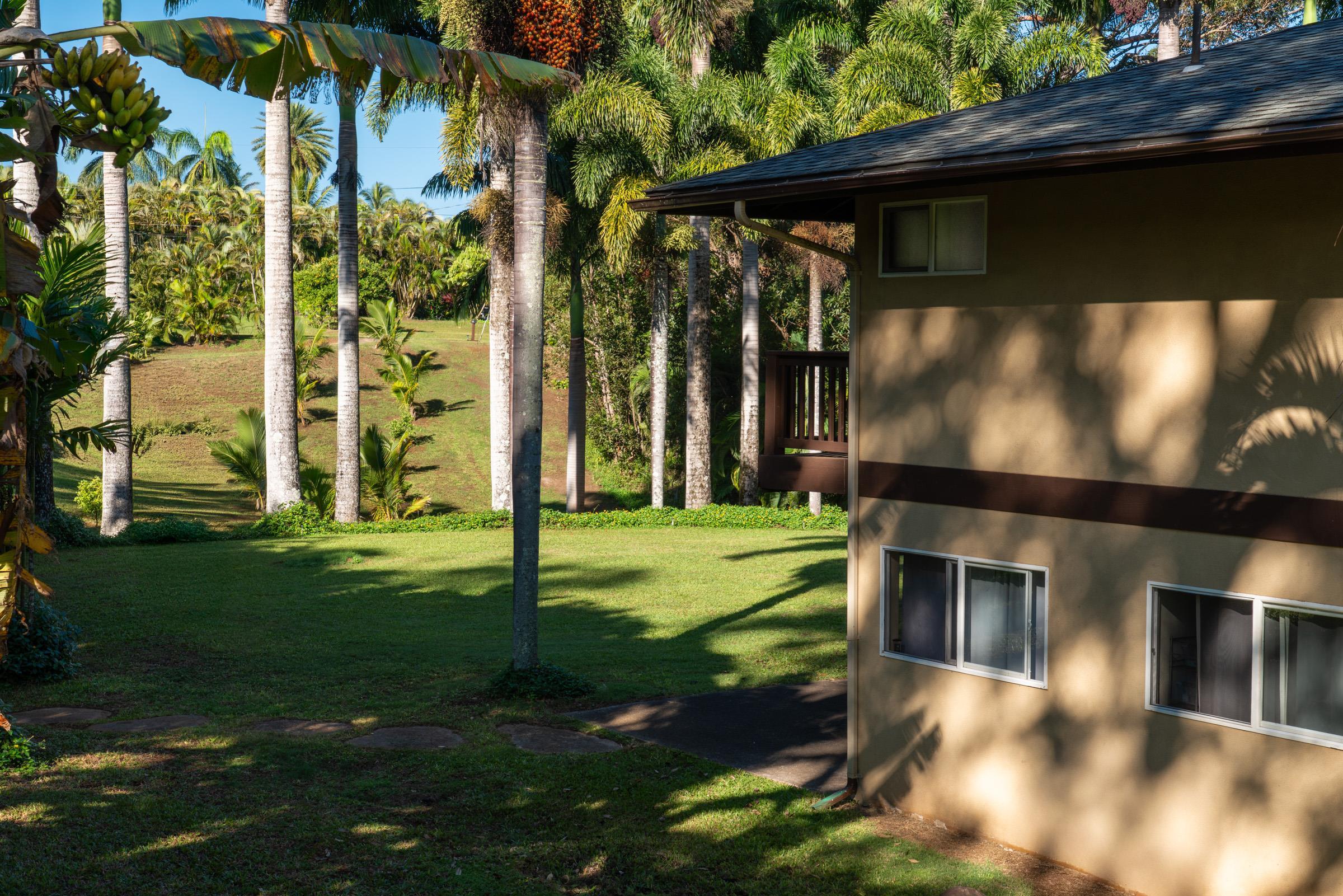 4509  Opana Pl Ulumalu, Haiku home - photo 24 of 31
