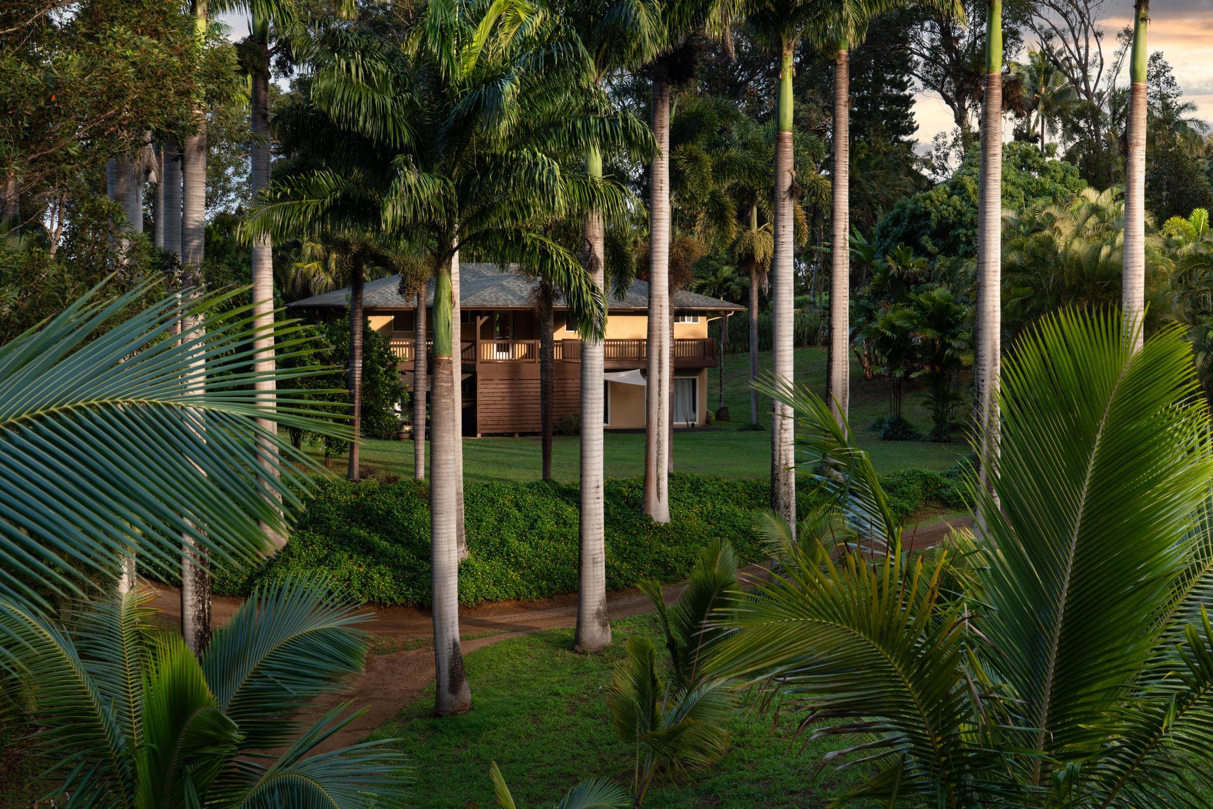 4509  Opana Pl Ulumalu, Haiku home - photo 25 of 31