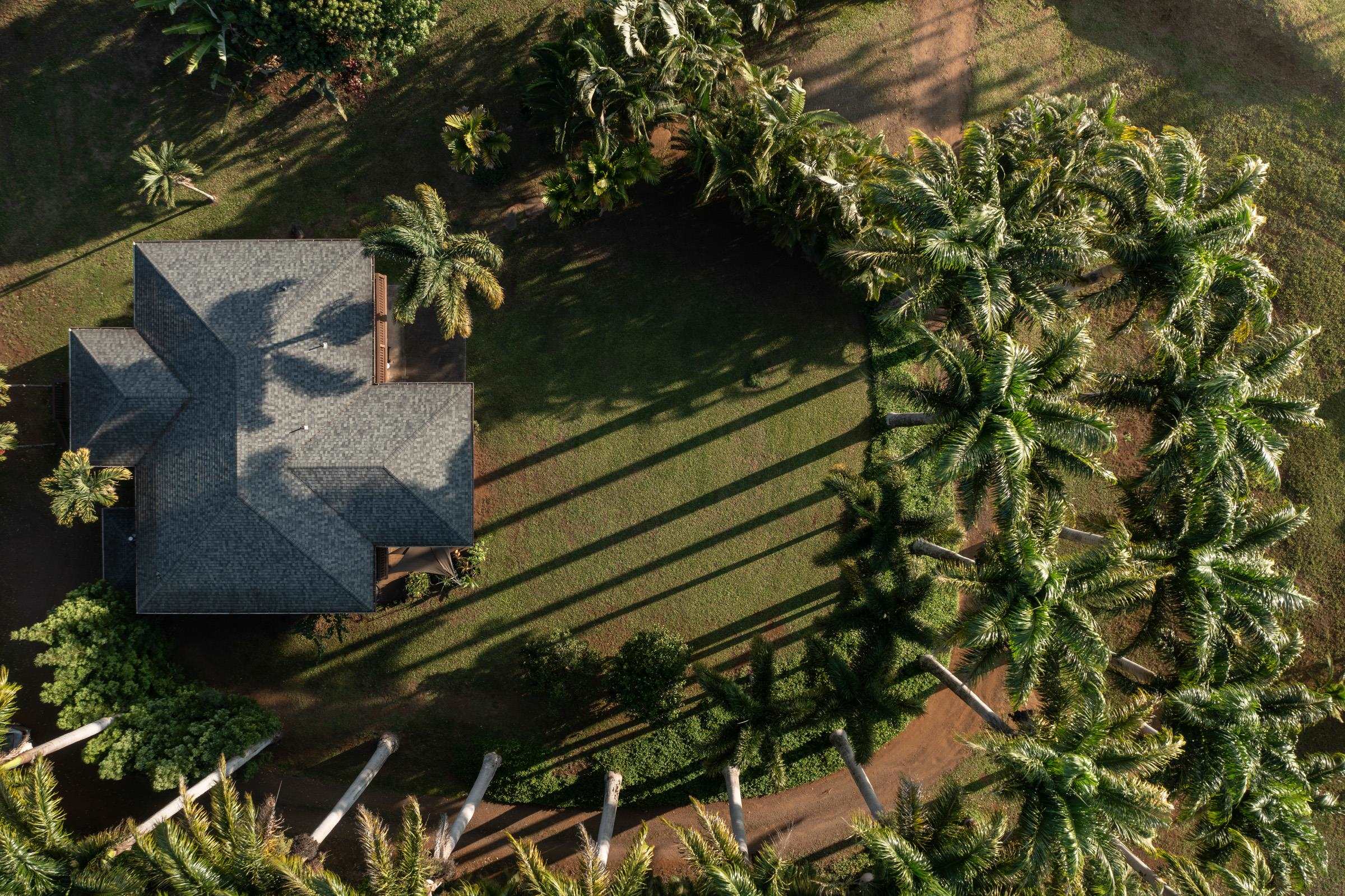 4509  Opana Pl Ulumalu, Haiku home - photo 26 of 31