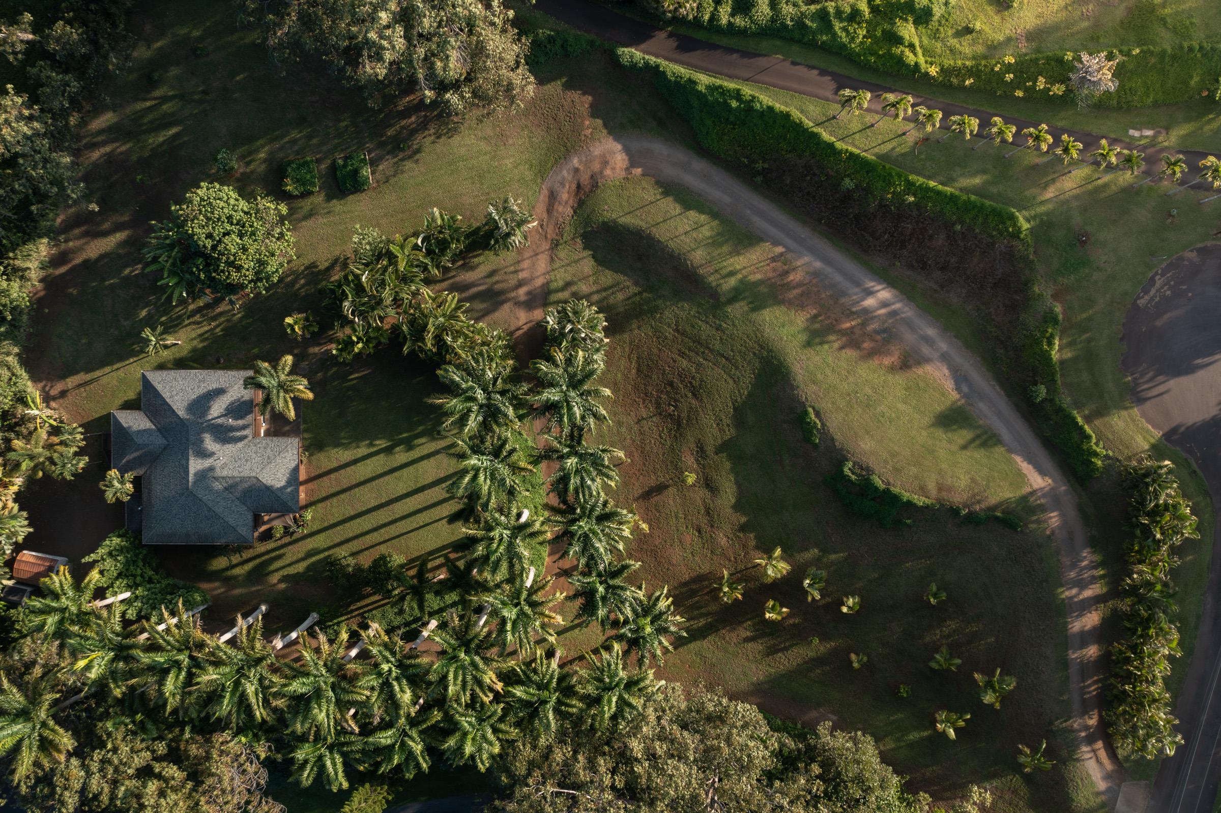 4509  Opana Pl Ulumalu, Haiku home - photo 27 of 31