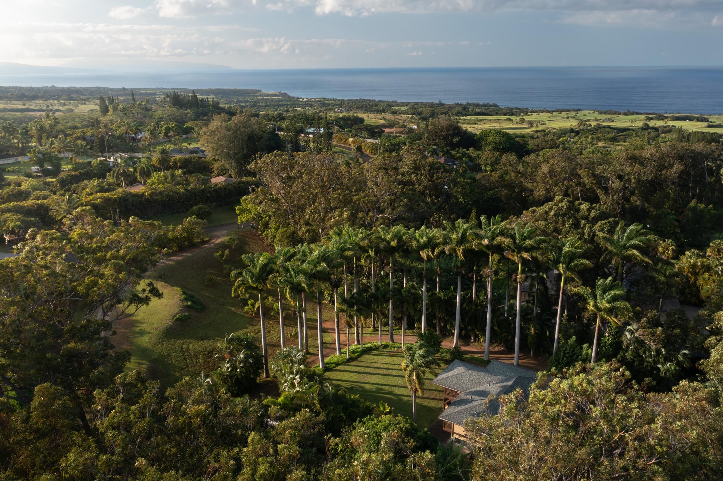 4509  Opana Pl Ulumalu, Haiku home - photo 29 of 31