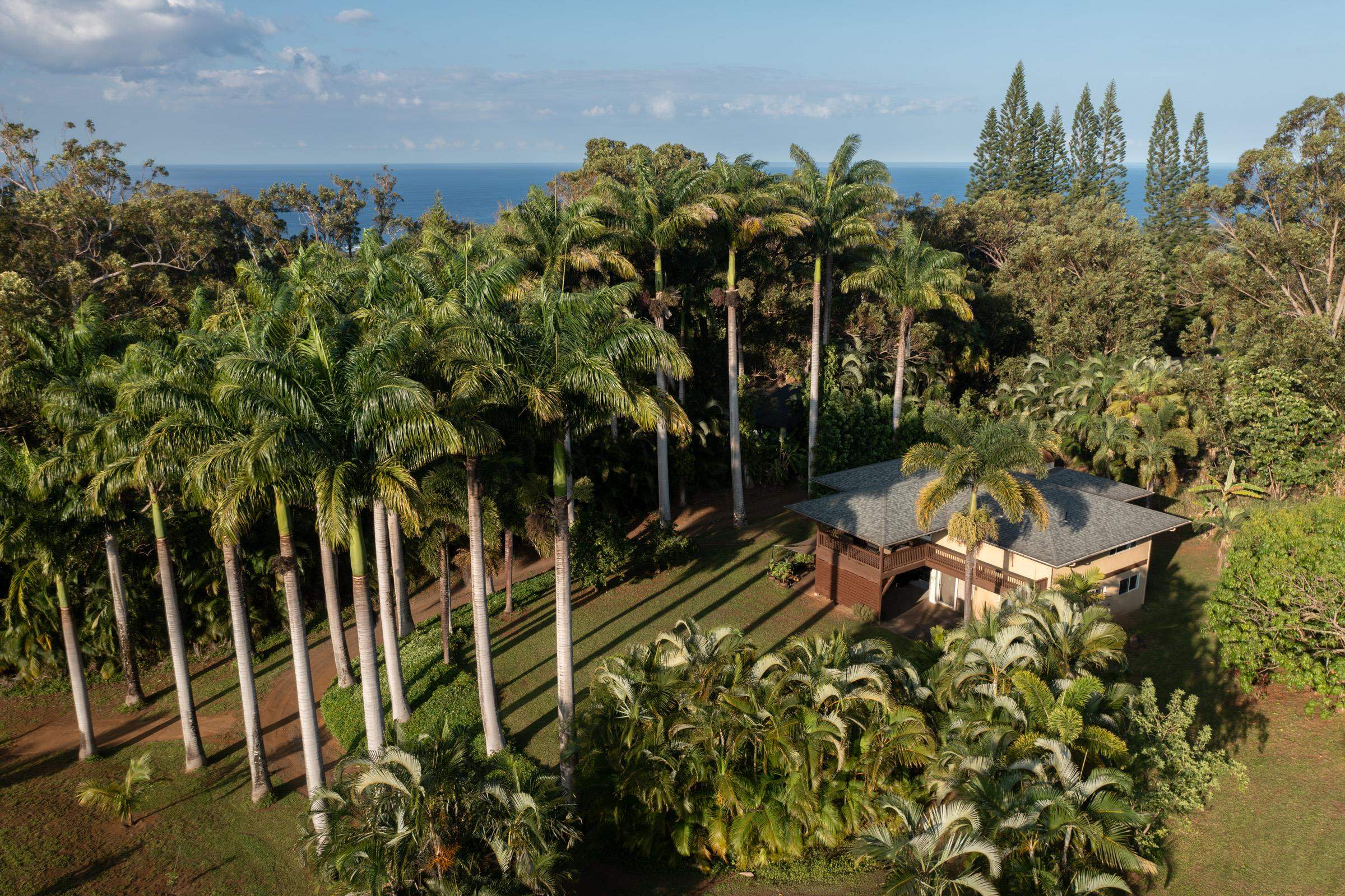 4509  Opana Pl Ulumalu, Haiku home - photo 31 of 31