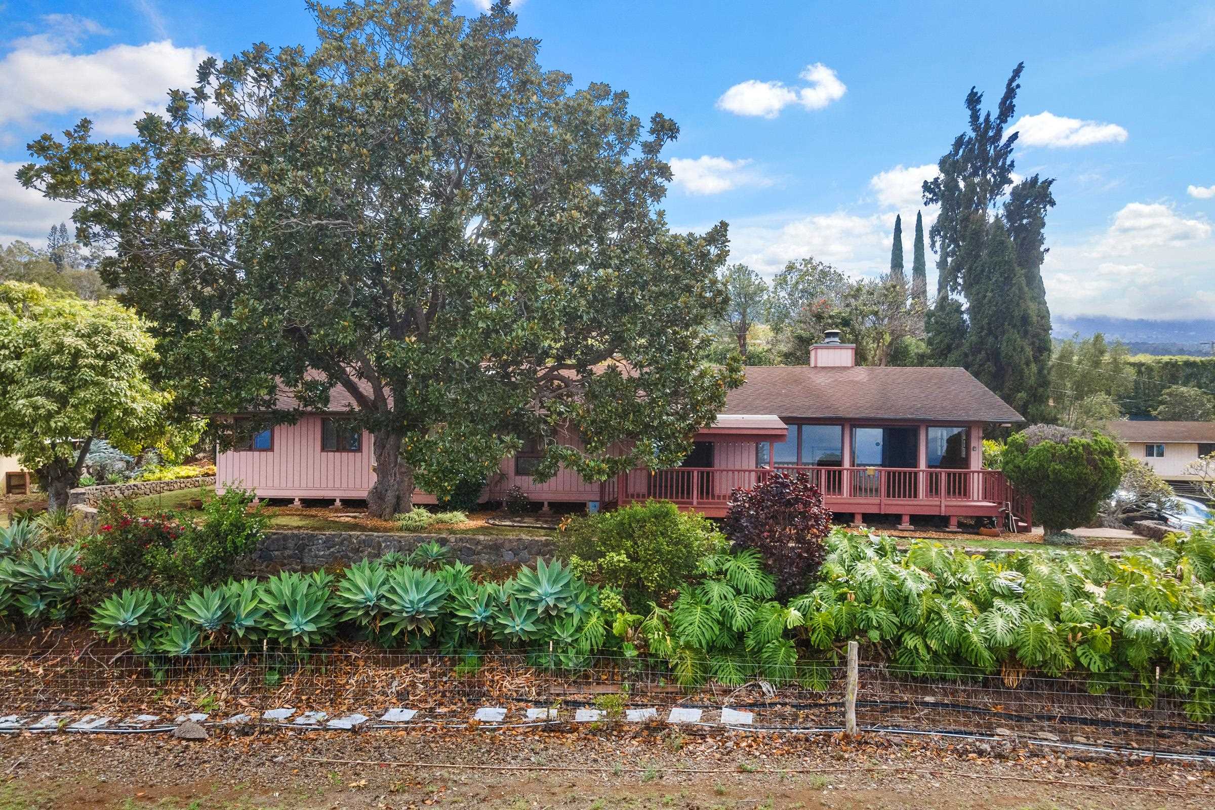 451  Lower Kimo Dr , Kula/Ulupalakua/Kanaio home - photo 11 of 49