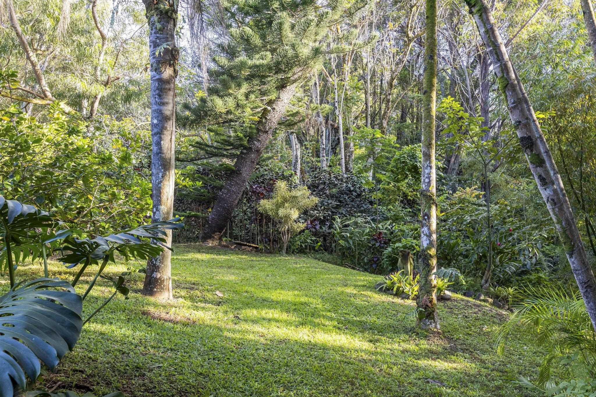 4510  Waha Pl , Haiku home - photo 48 of 50