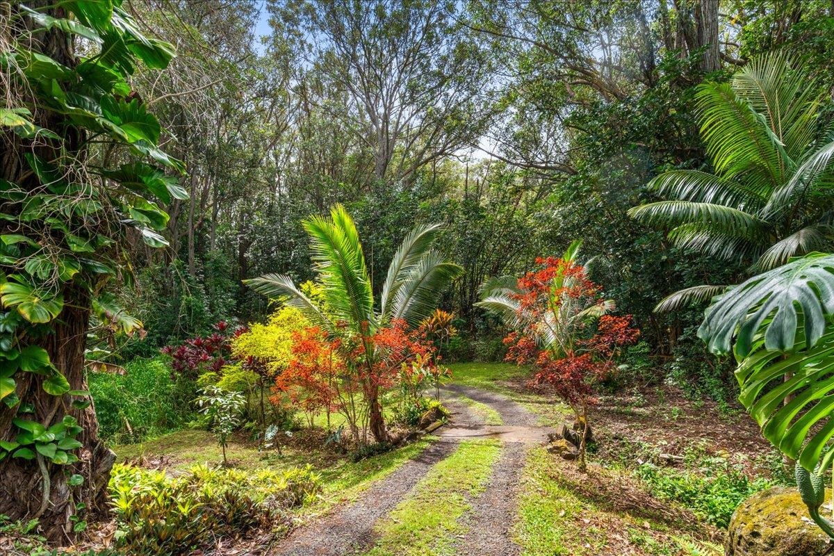 4510  Waha Pl , Haiku home - photo 3 of 36