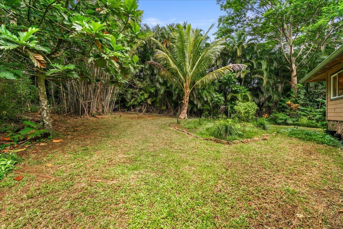 4510  Waha Pl , Haiku home - photo 33 of 36