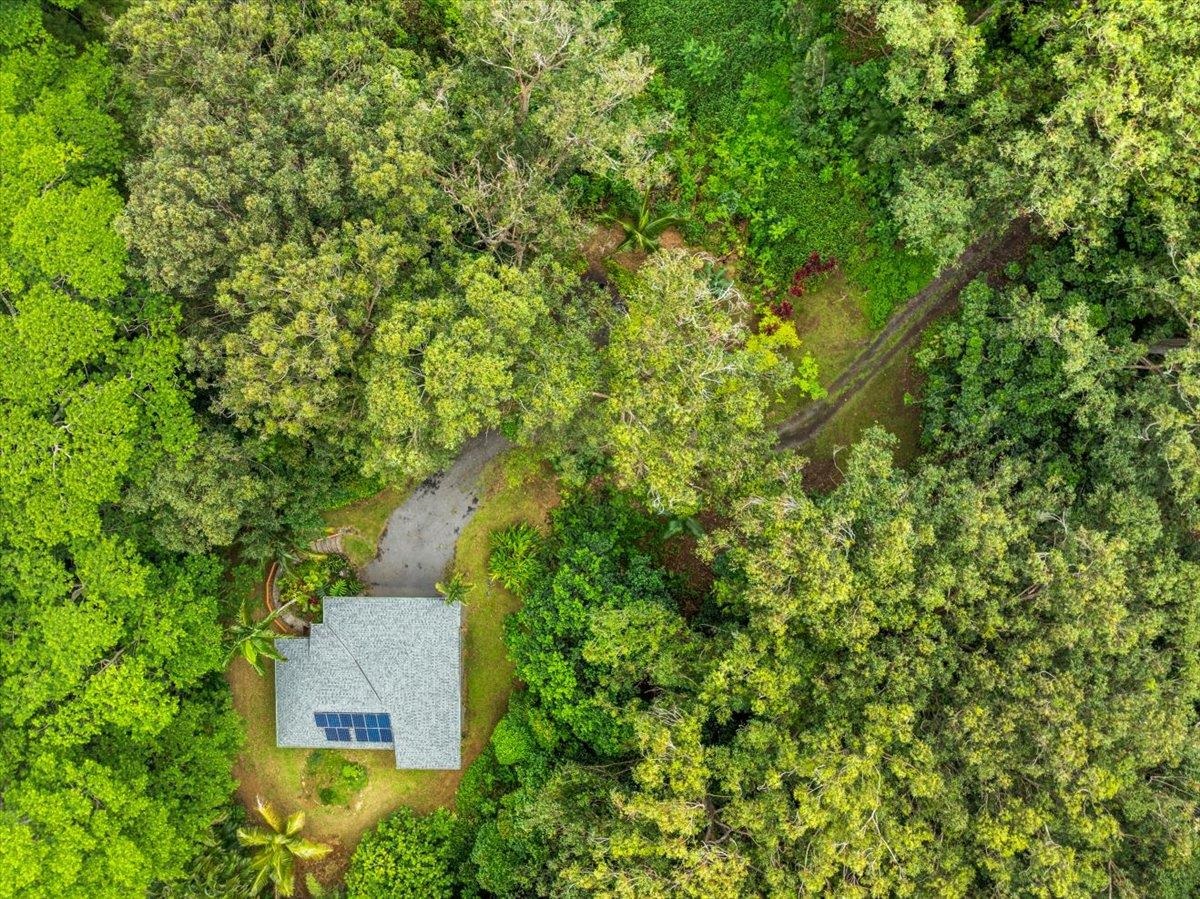 4510  Waha Pl , Haiku home - photo 34 of 36