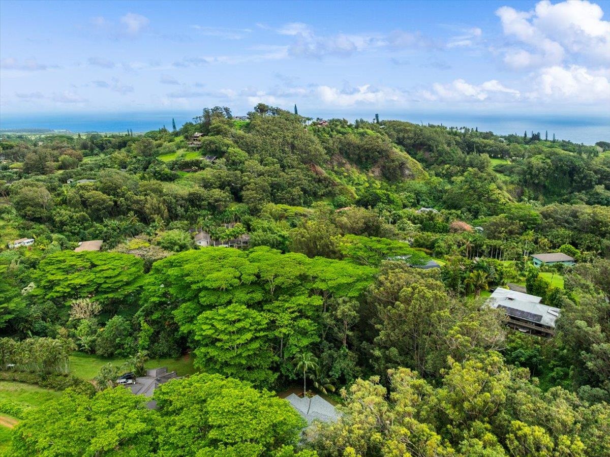 4510  Waha Pl , Haiku home - photo 36 of 36