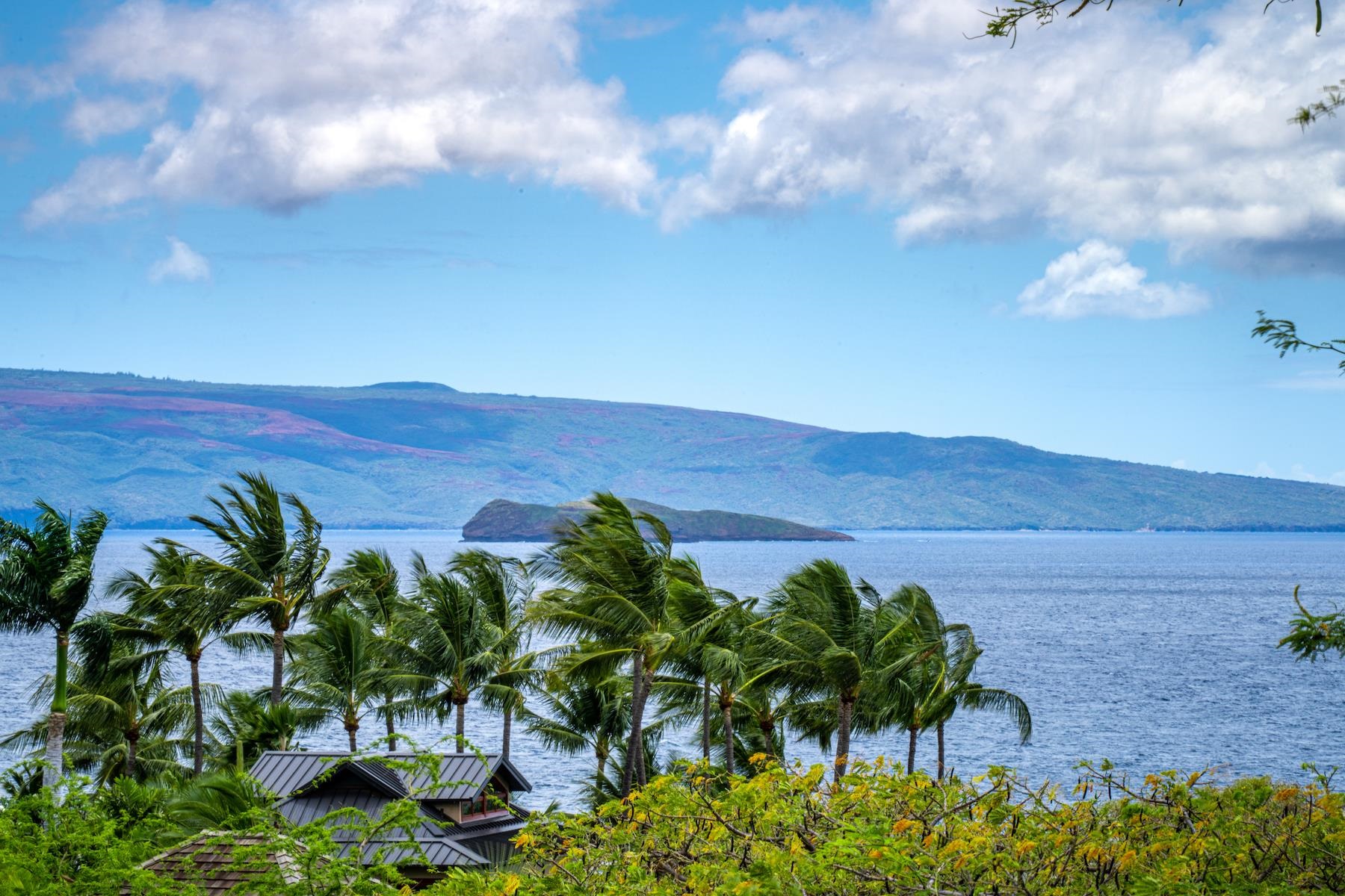 4520 Makena Alanui Dr  Kihei, Hi vacant land for sale - photo 21 of 34