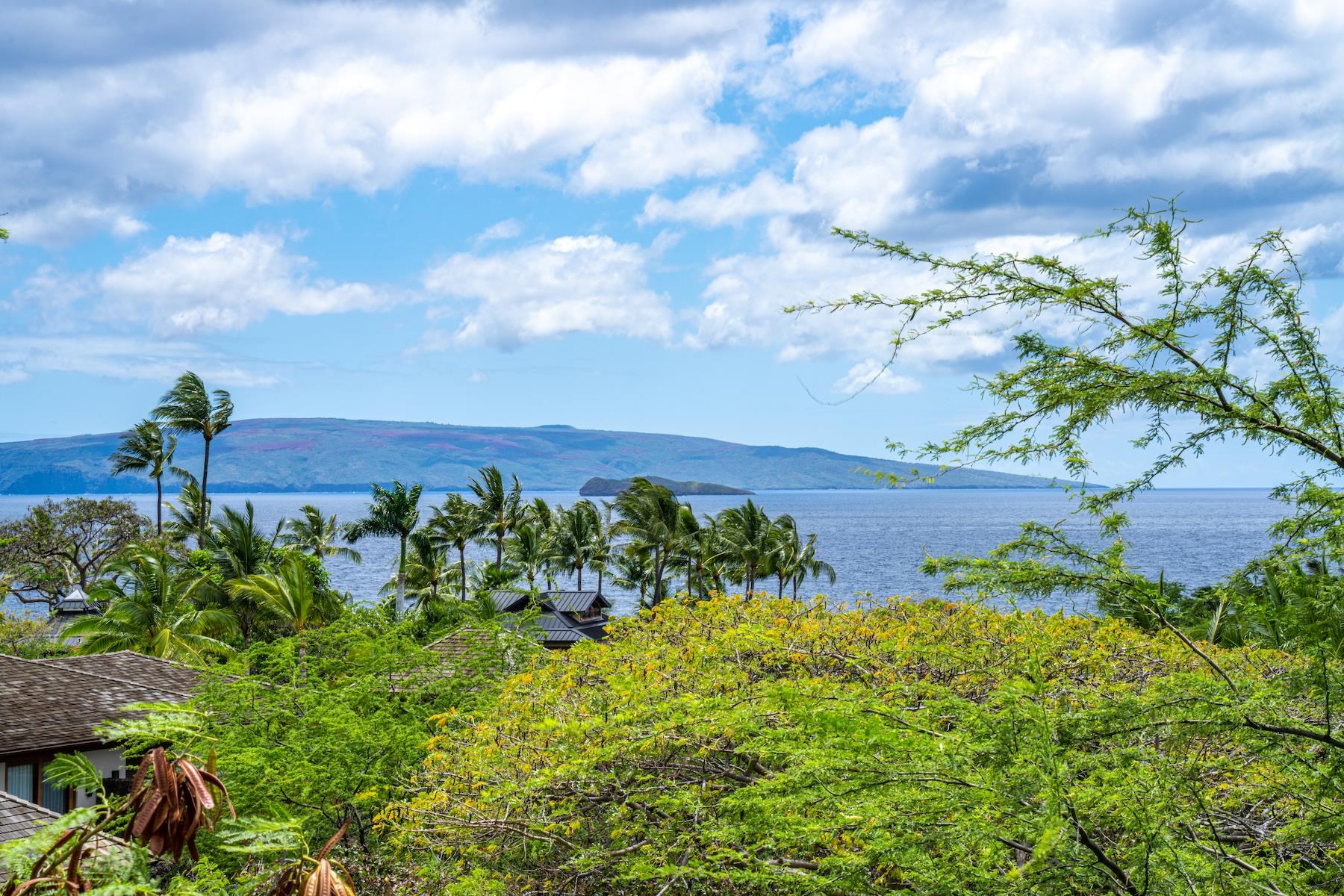 4520 Makena Alanui Dr  Kihei, Hi vacant land for sale - photo 22 of 34