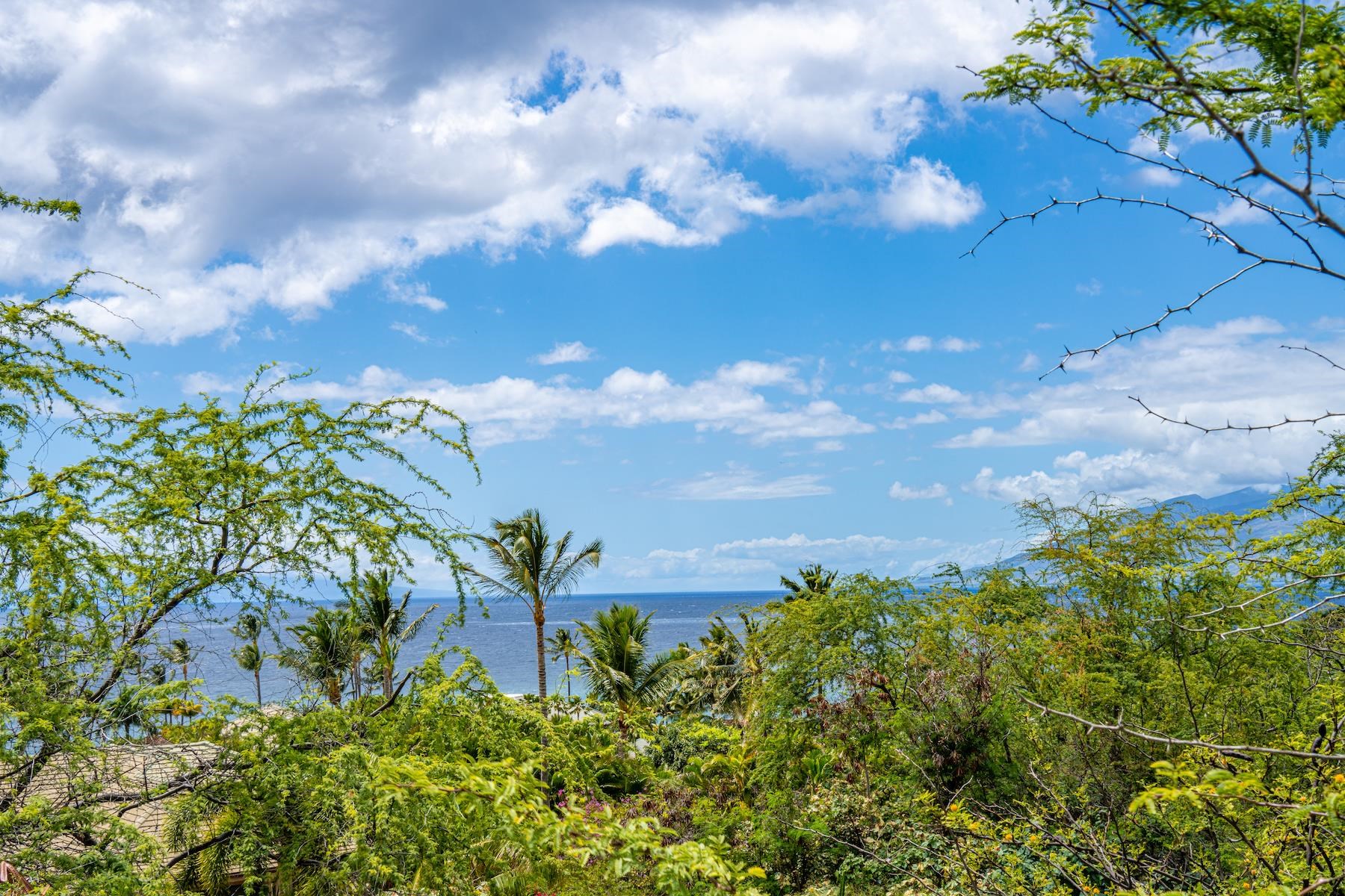 4520 Makena Alanui Dr  Kihei, Hi vacant land for sale - photo 24 of 34