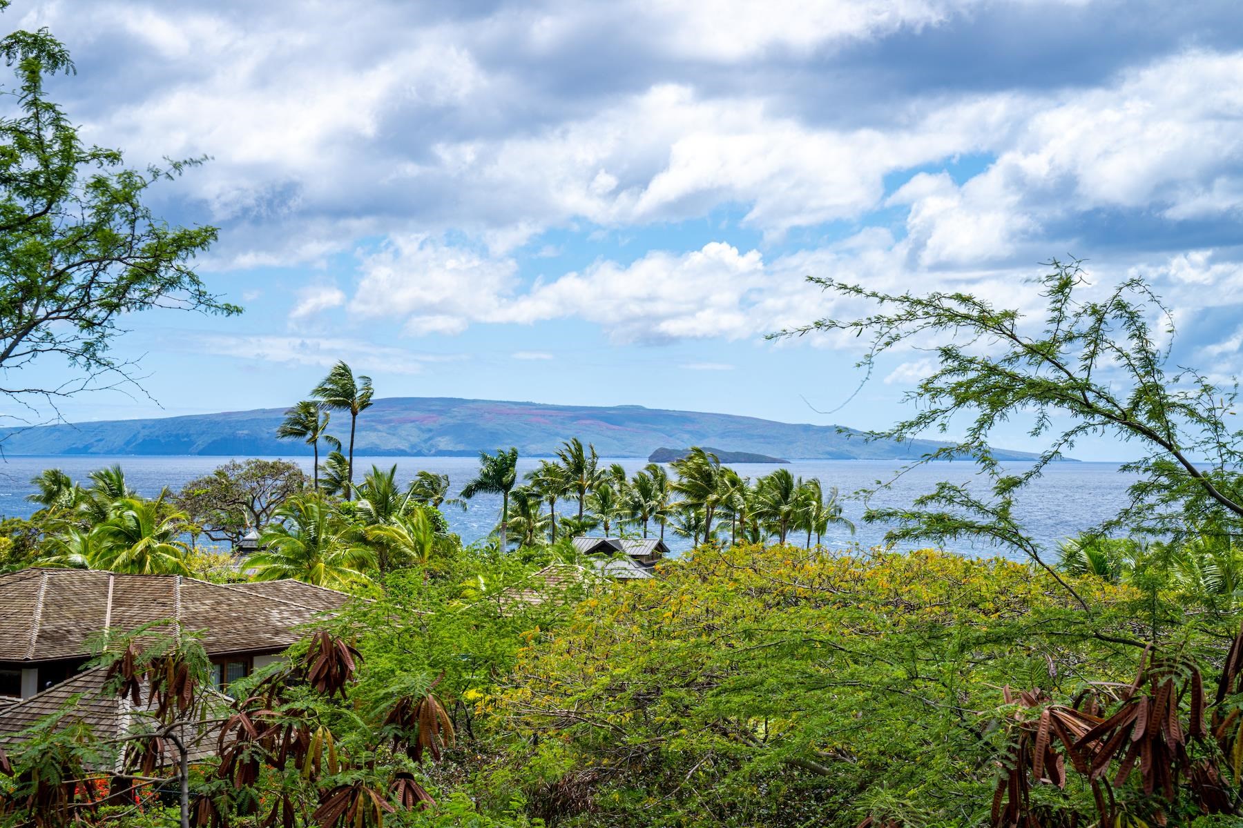 4520 Makena Alanui Dr  Kihei, Hi vacant land for sale - photo 25 of 34