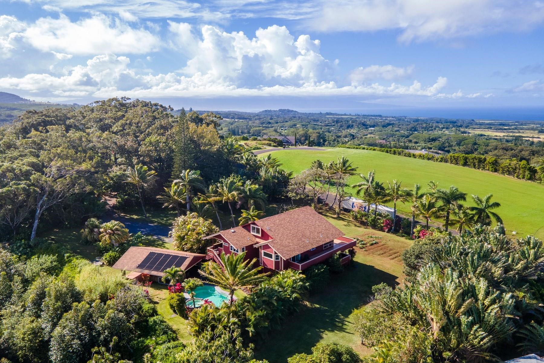 4525  Une Pl , Haiku home - photo 26 of 30