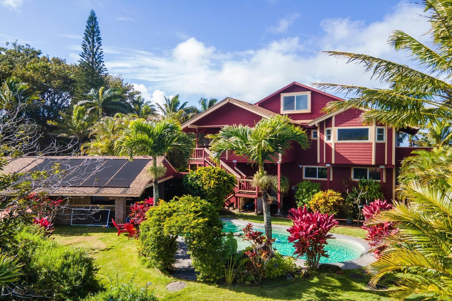 4525  Une Pl , Haiku home - photo 5 of 30