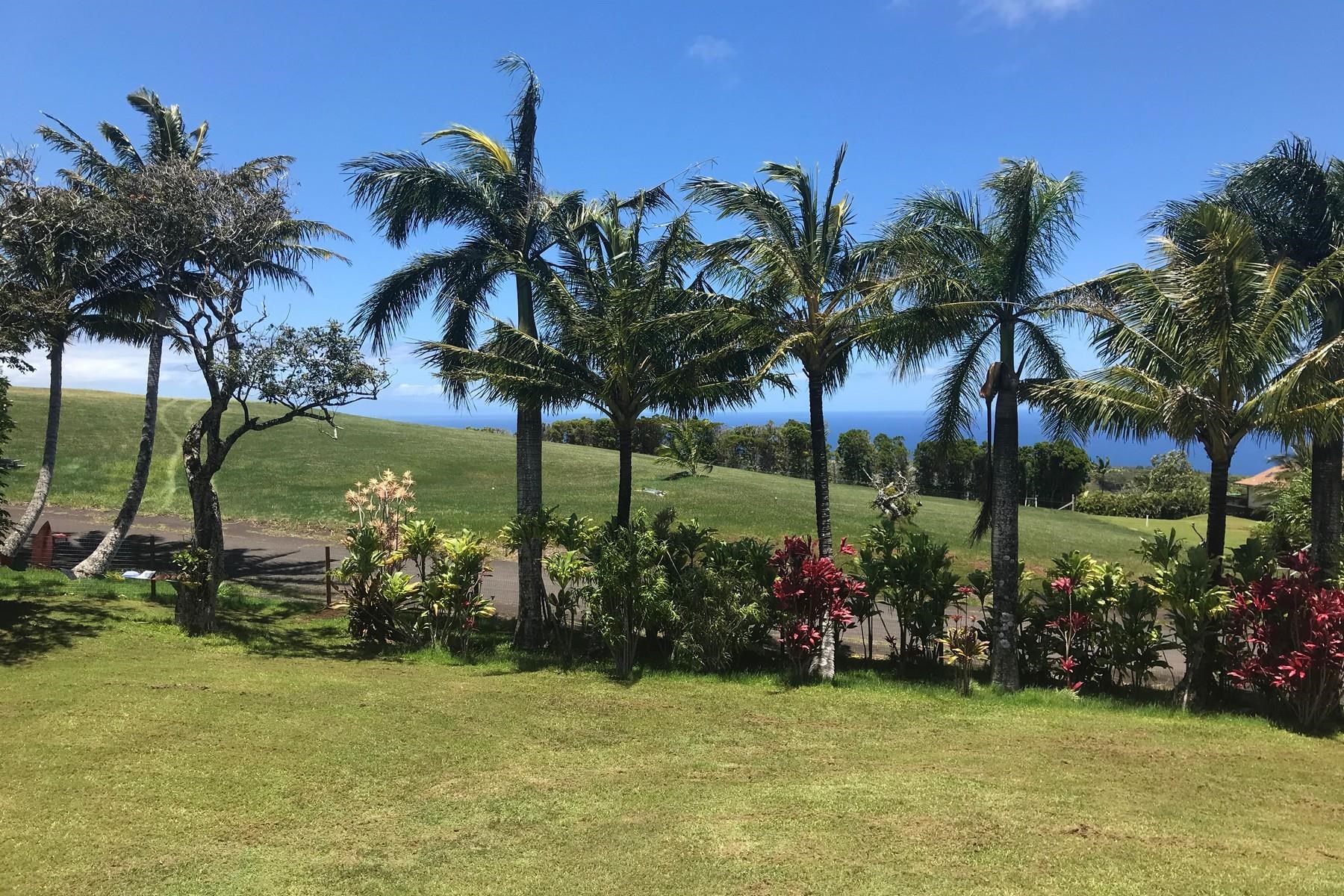 4525  Une Pl , Haiku home - photo 7 of 30