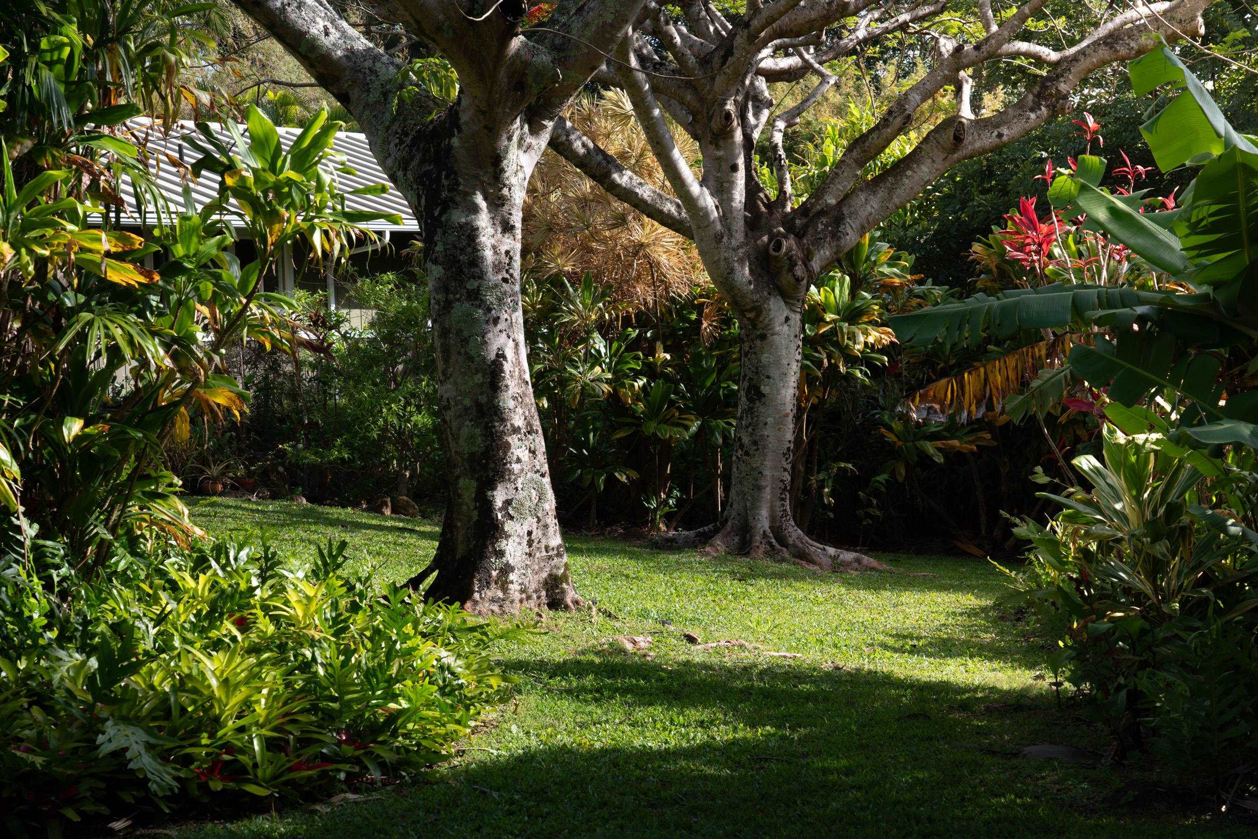 453  N Honokala Rd Honokala, Haiku home - photo 16 of 33