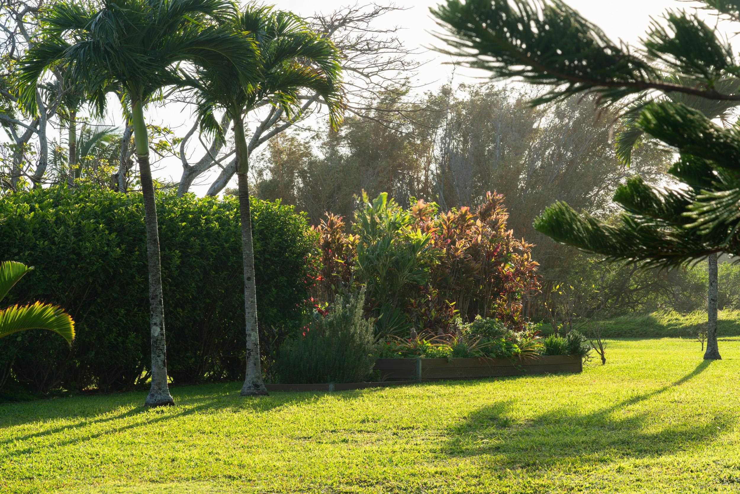 453  N Honokala Rd Honokala, Haiku home - photo 4 of 33
