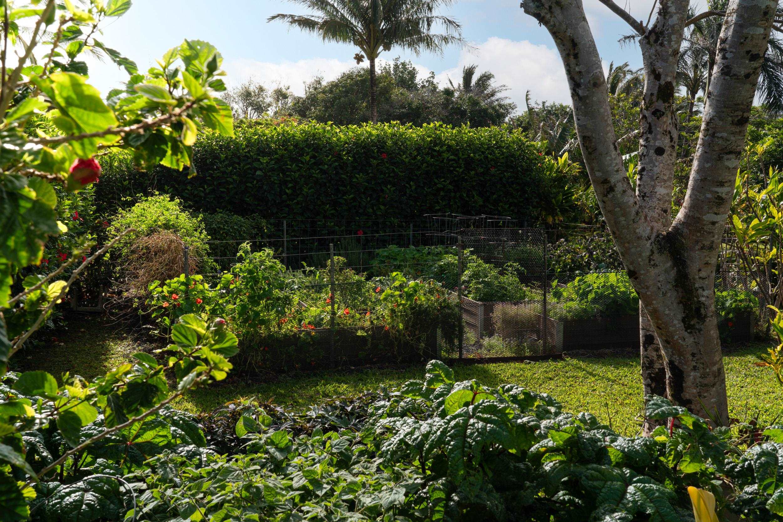 453  N Honokala Rd Honokala, Haiku home - photo 31 of 33