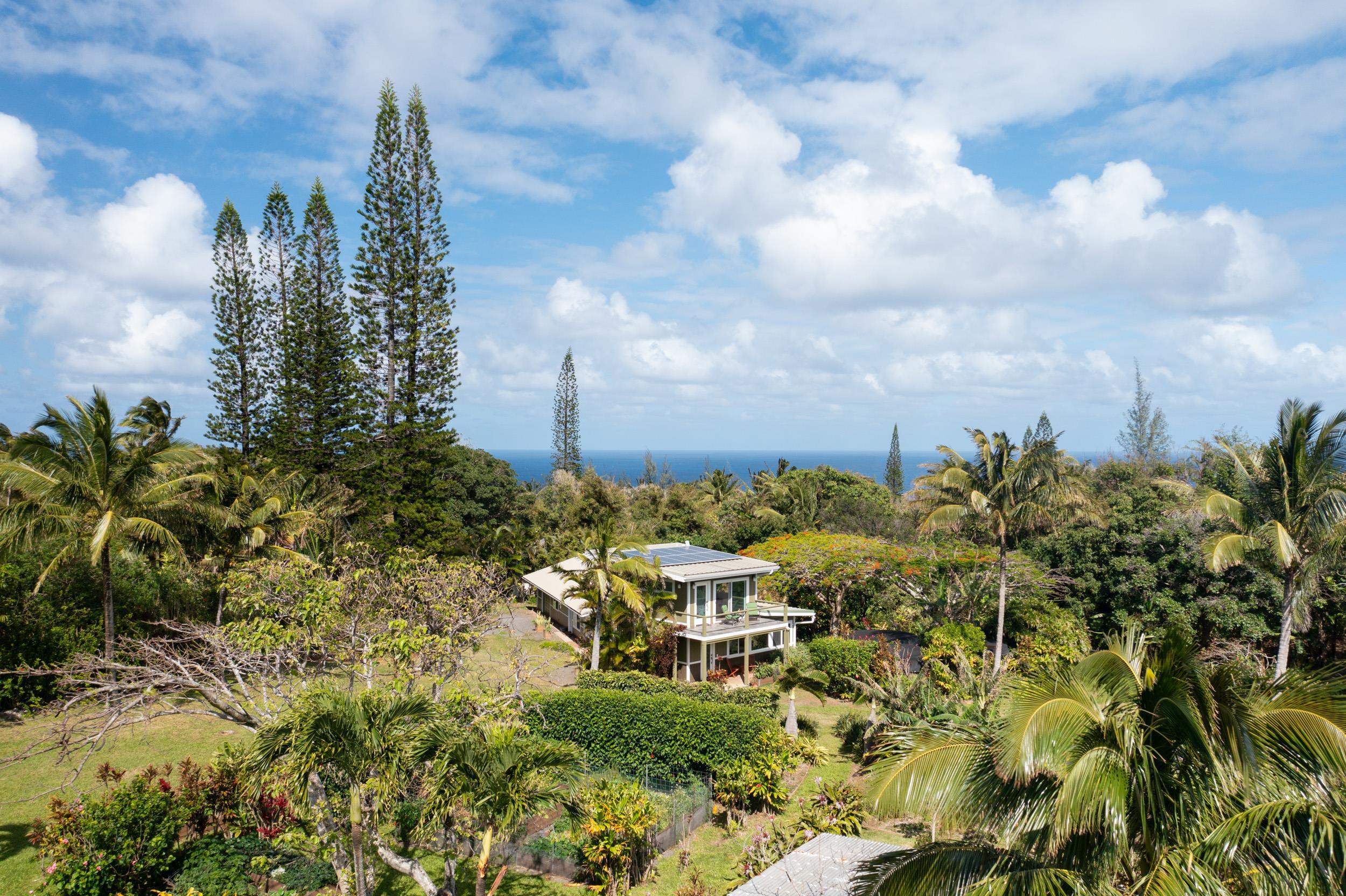 453  N Honokala Rd Honokala, Haiku home - photo 32 of 33