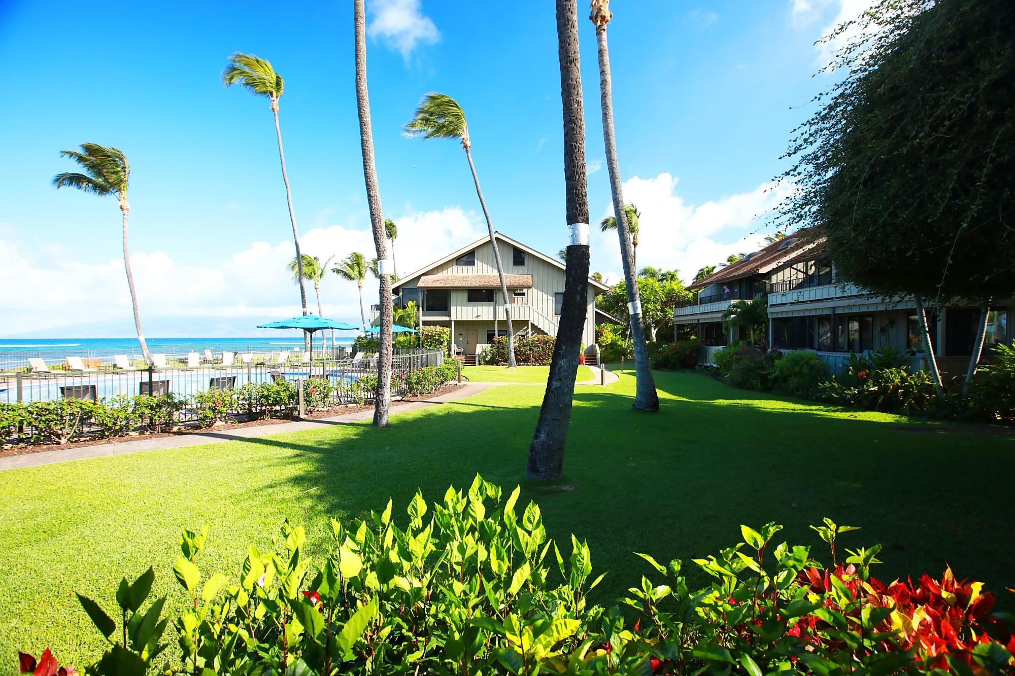 Kahana Village condo # 2B1 (12), Lahaina, Hawaii - photo 4 of 50