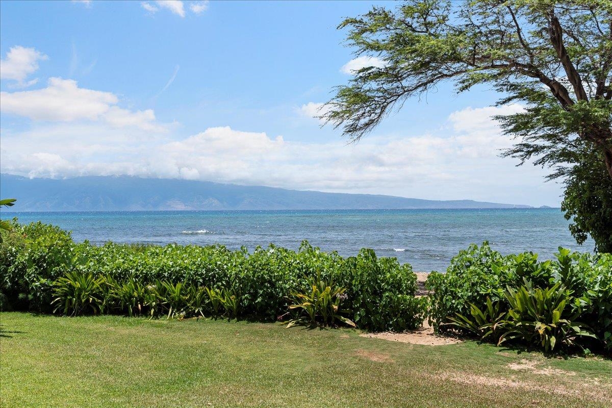 Kahana Village condo # 37, Lahaina, Hawaii - photo 3 of 50