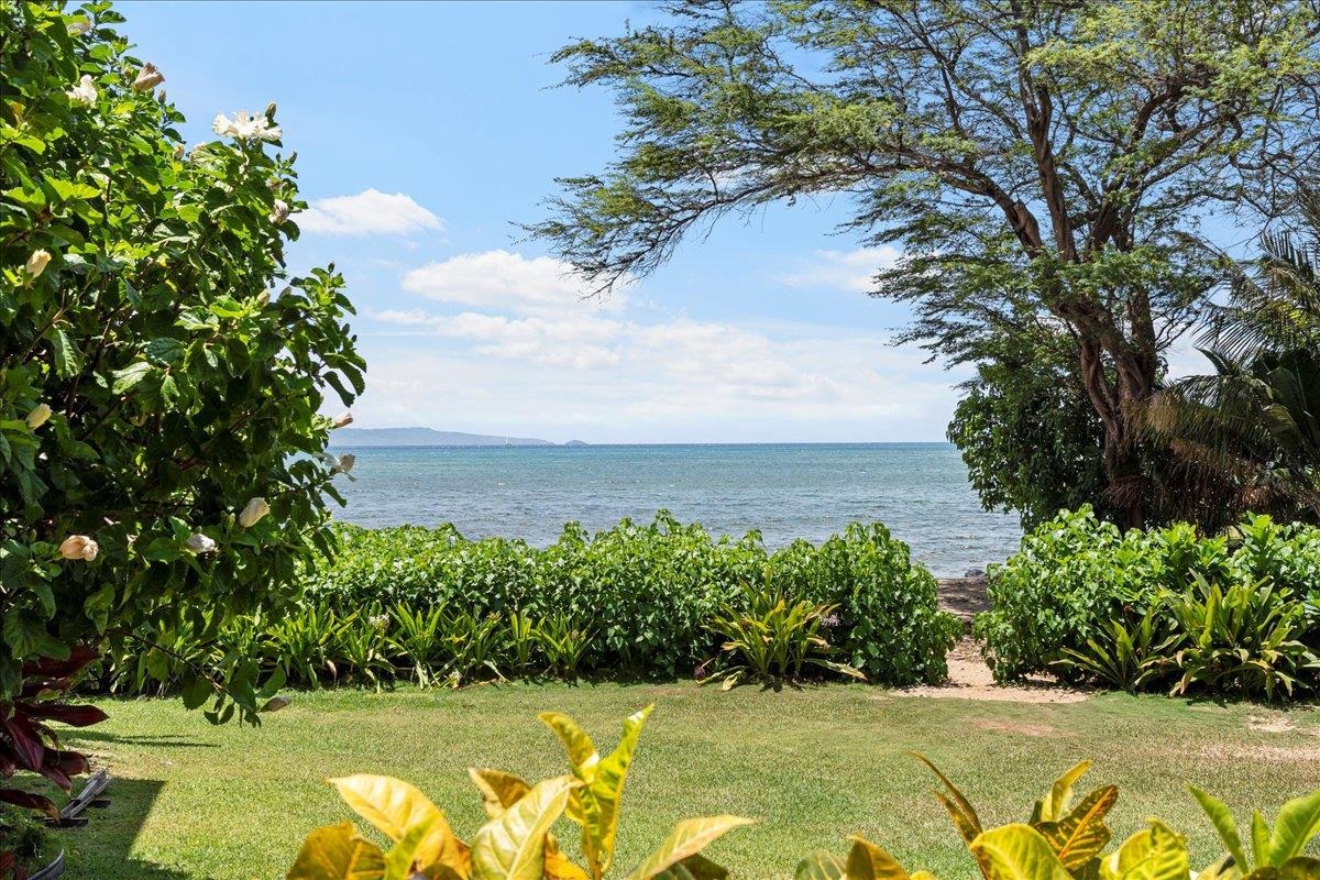 Kahana Village condo # 37, Lahaina, Hawaii - photo 35 of 50